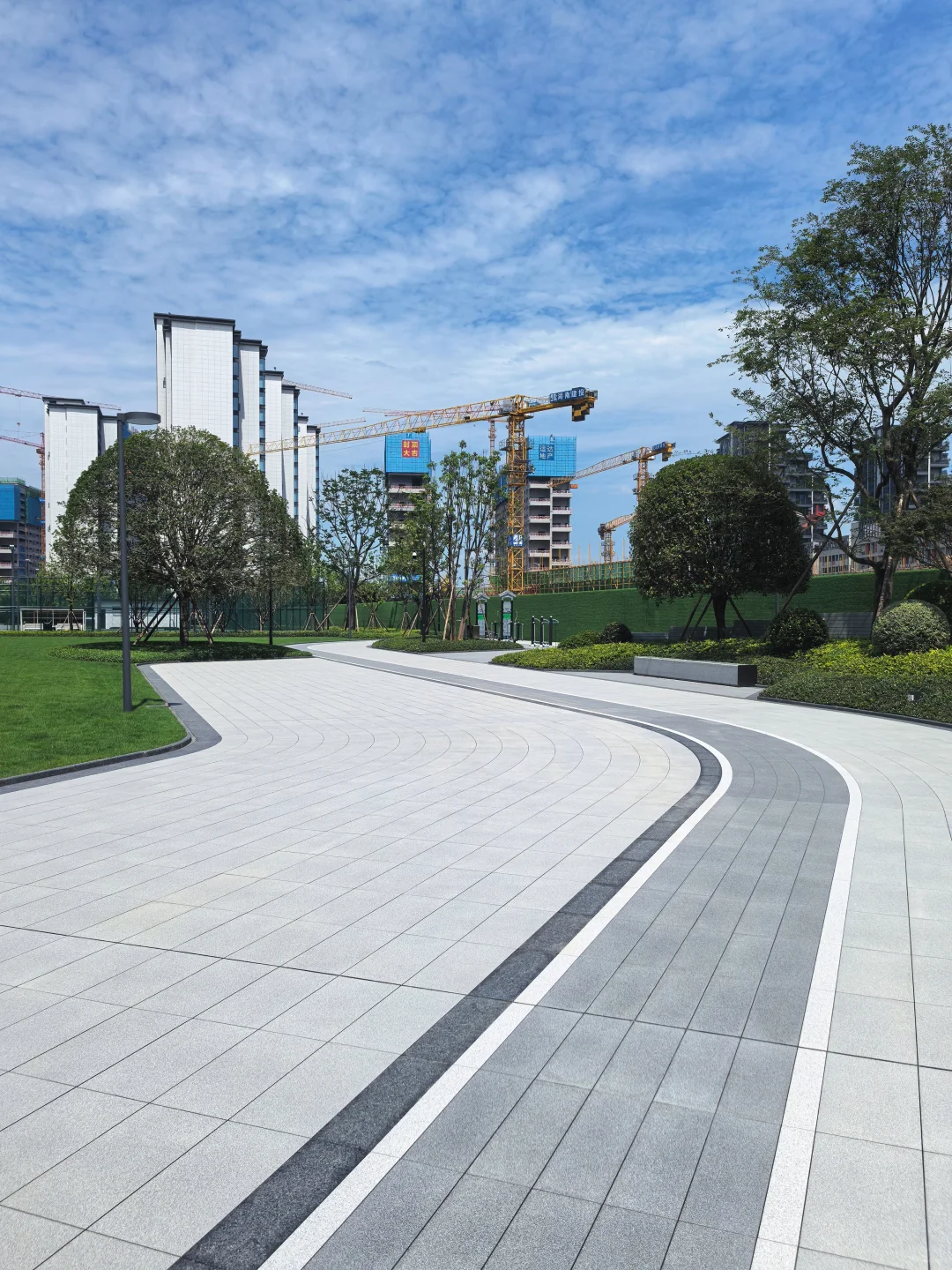 逛遍长沙公园(261)：会展湾松树公园