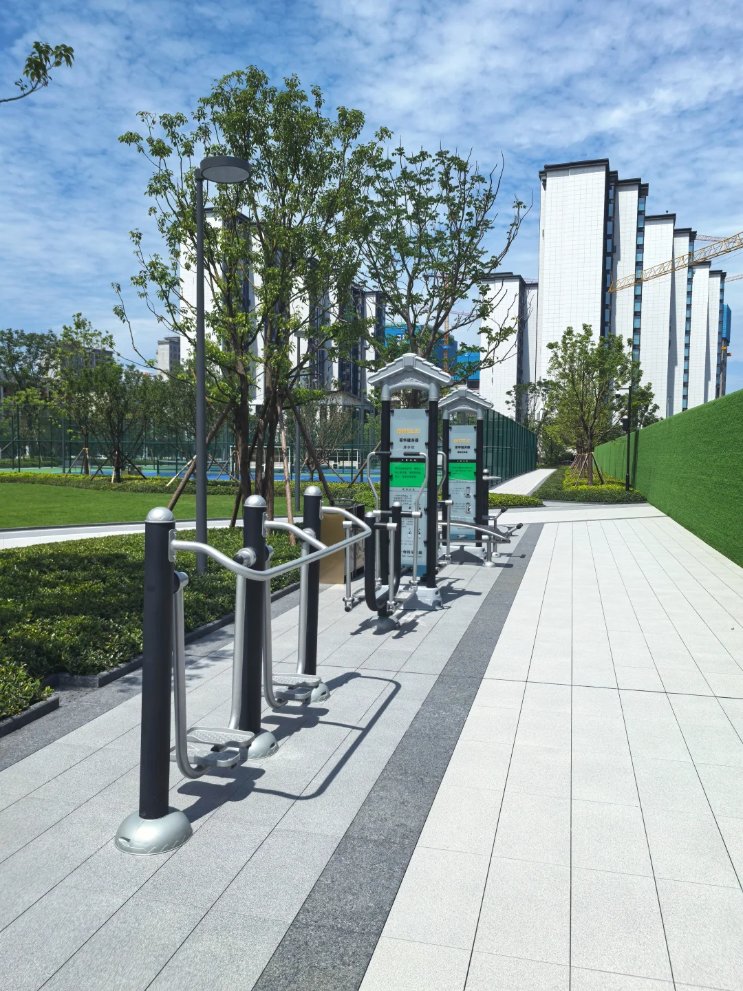 逛遍长沙公园(261)：会展湾松树公园