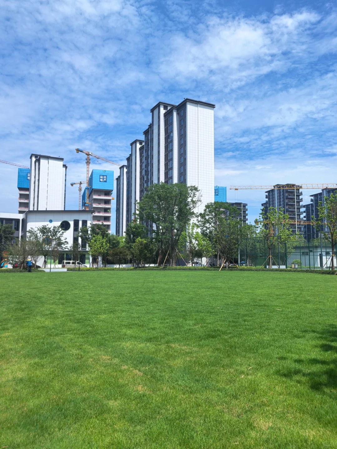 逛遍长沙公园(261)：会展湾松树公园