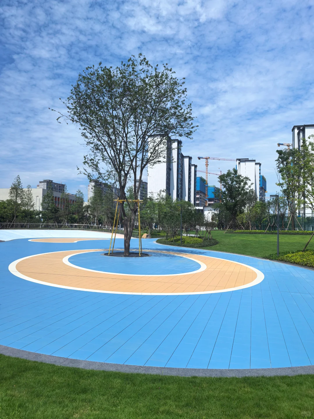 逛遍长沙公园(261)：会展湾松树公园