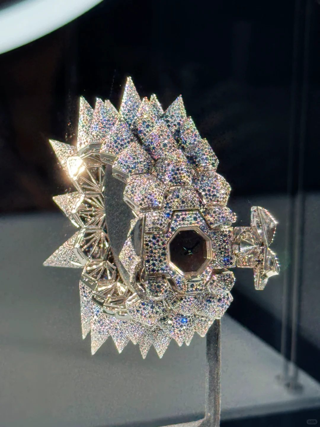 上海展览免费看，咖啡免费喝，帆布袋免费领