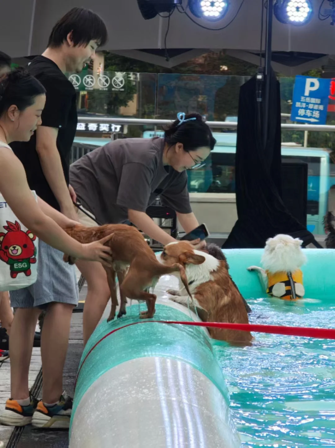 贝格探索重庆南坪会展中心亲子宠物活动@～@