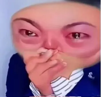 刚入职就要去展会