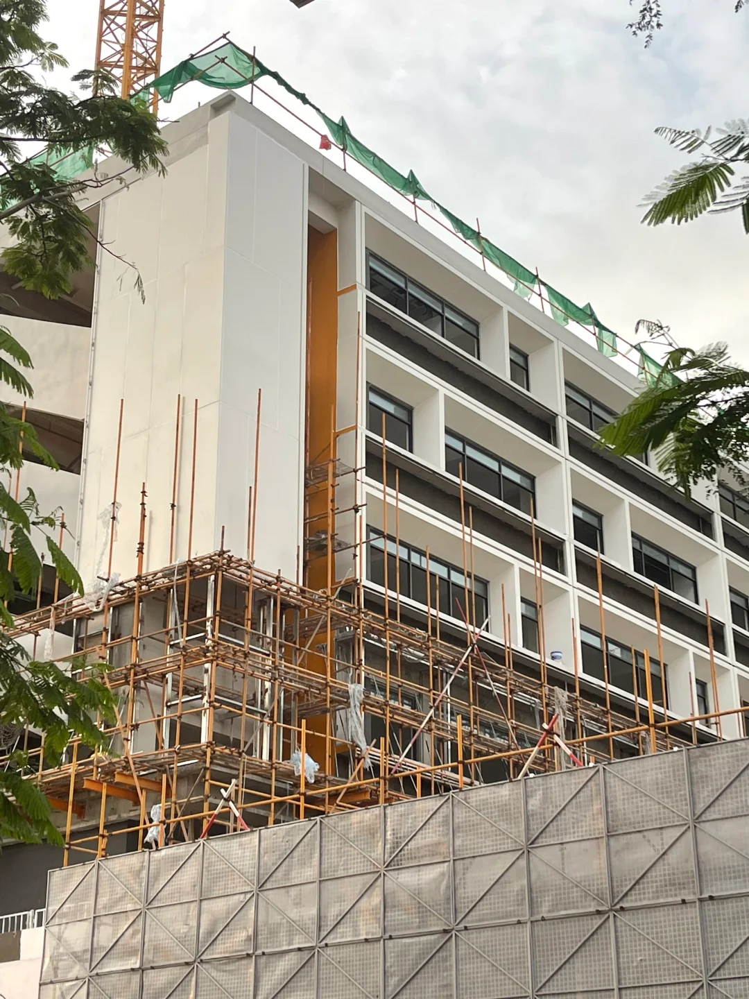 会展城实验学校现原型了