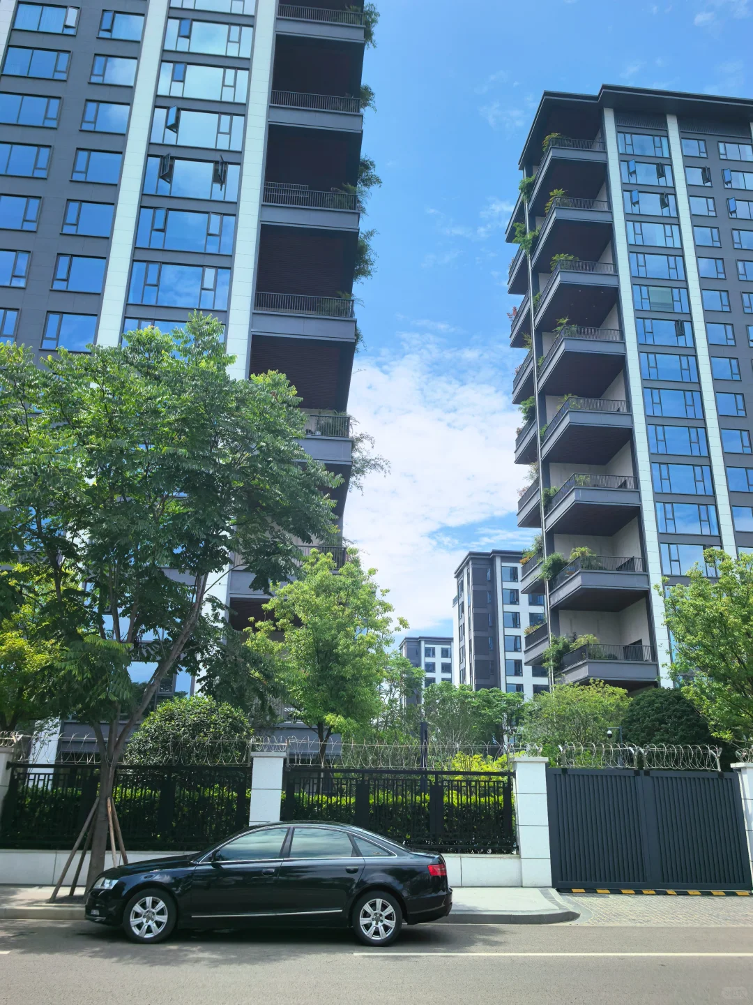 逛遍长沙公园(261)：会展湾松树公园