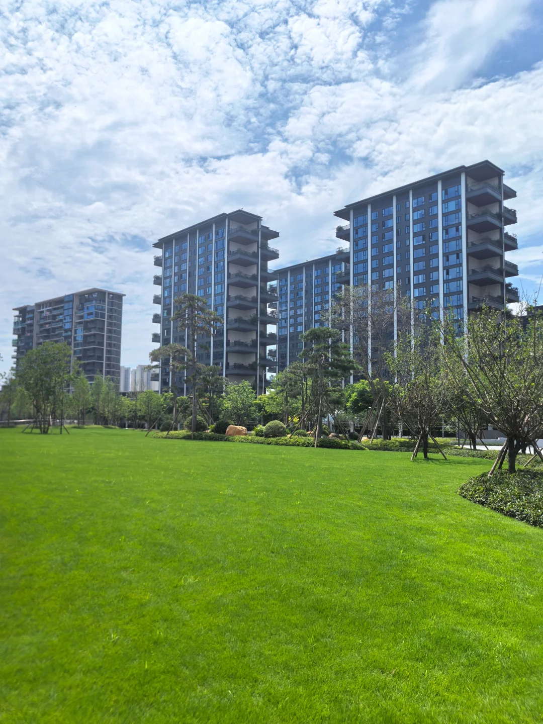 逛遍长沙公园(261)：会展湾松树公园