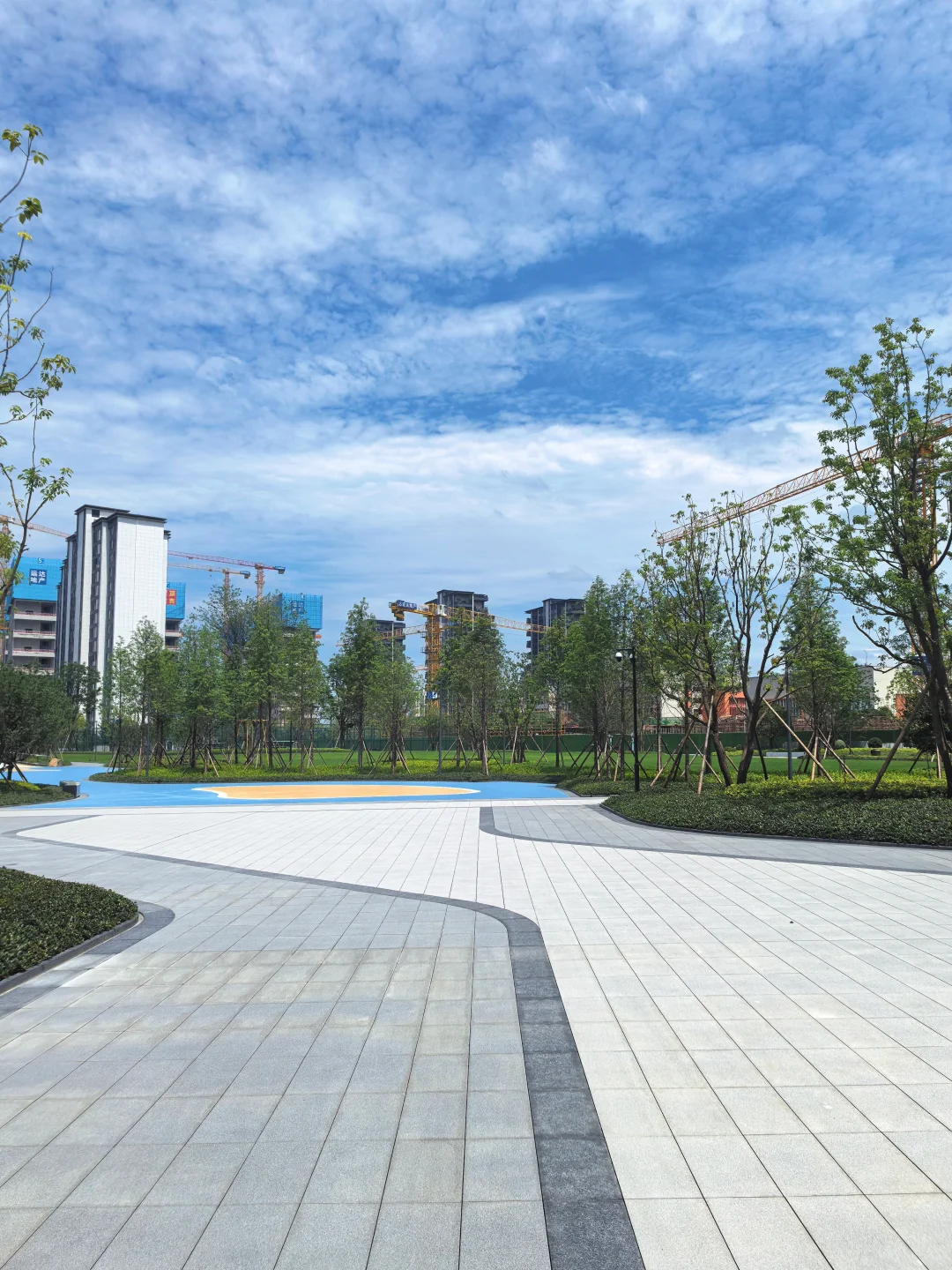 逛遍长沙公园(261)：会展湾松树公园