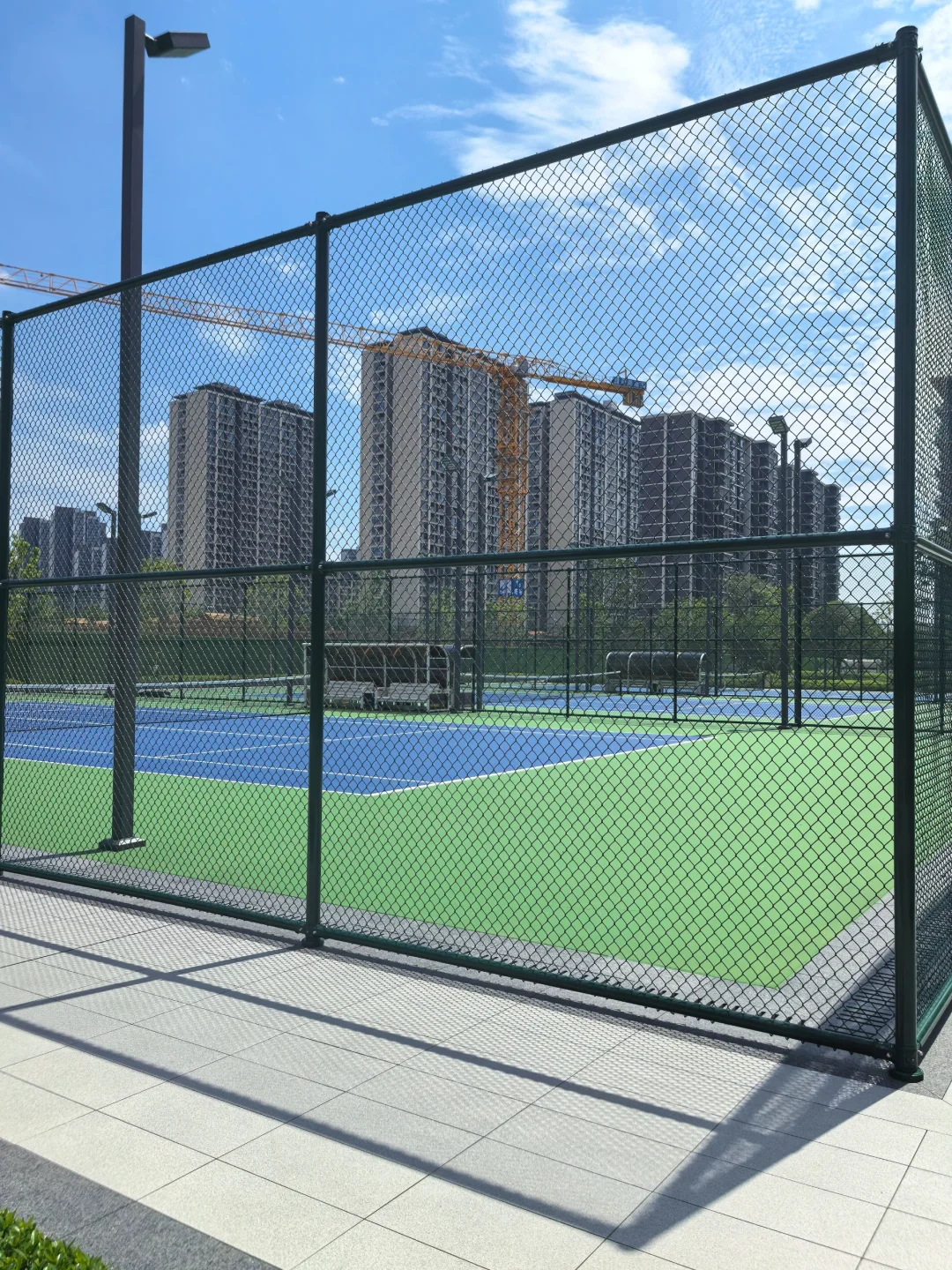 逛遍长沙公园(261)：会展湾松树公园