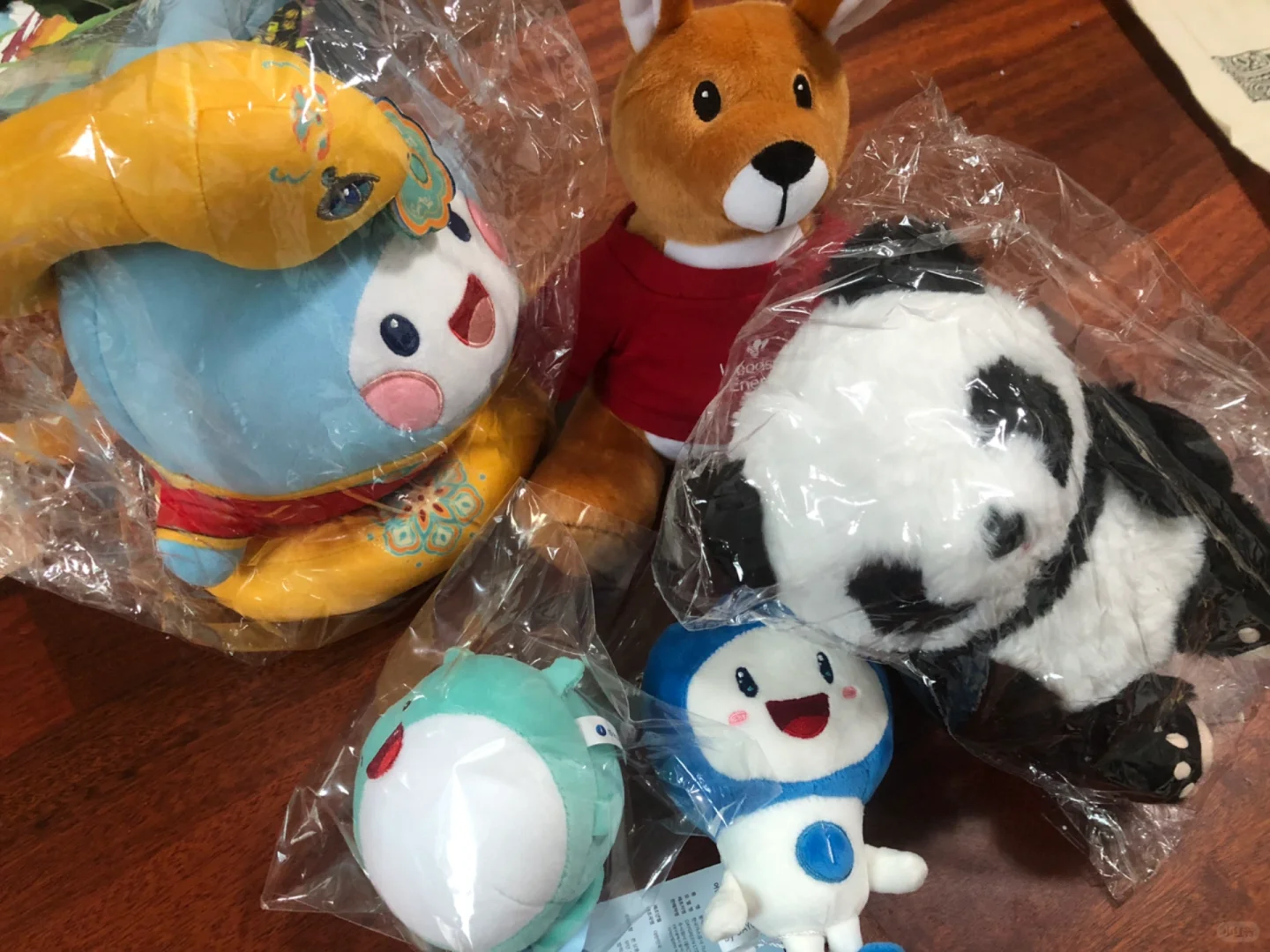 第29届世界燃气大会美丽羊毛集合