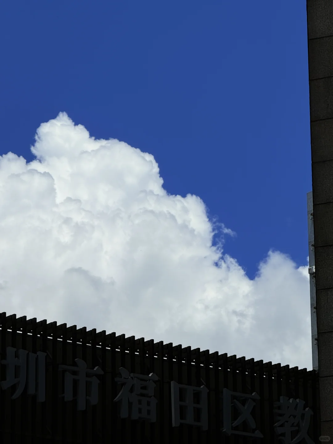 第一天参加国际女装展会的小分享???