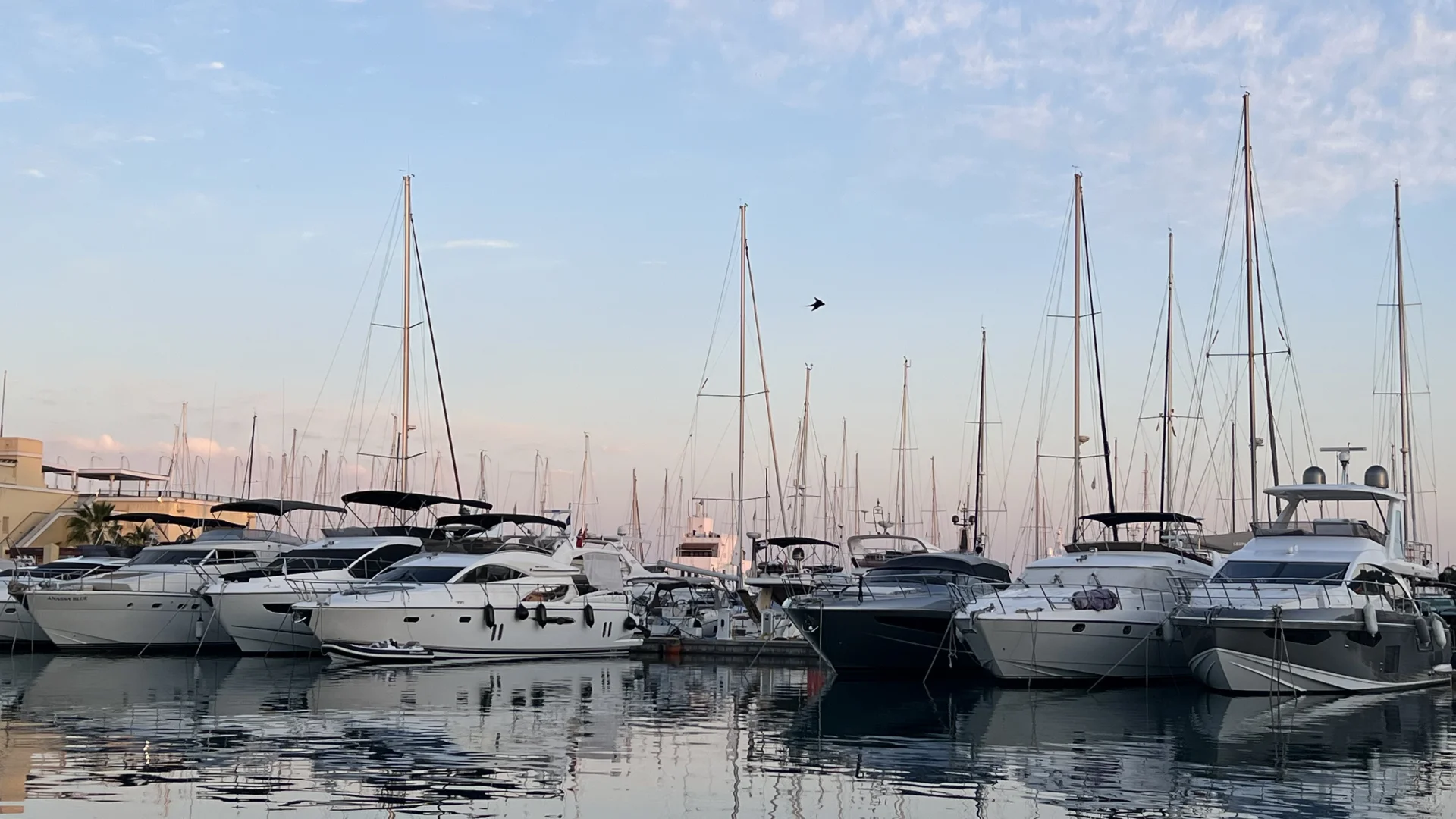 一年一度的游艇展