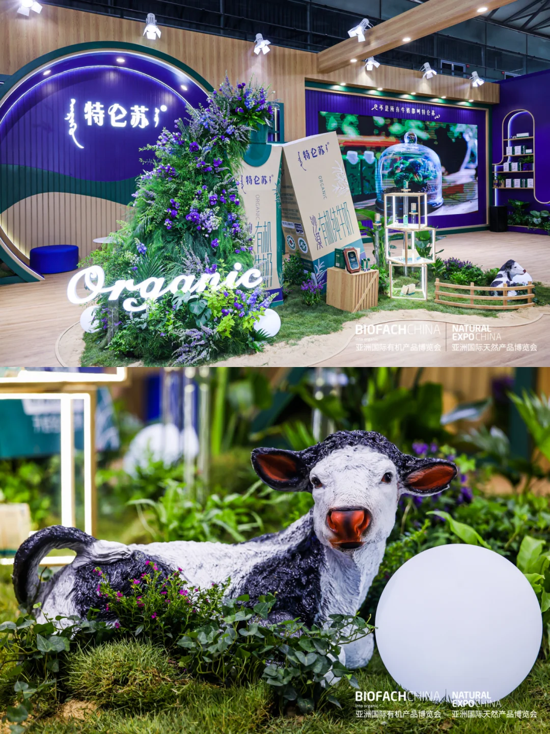 2025年第十八届亚洲国际有机产品博览会