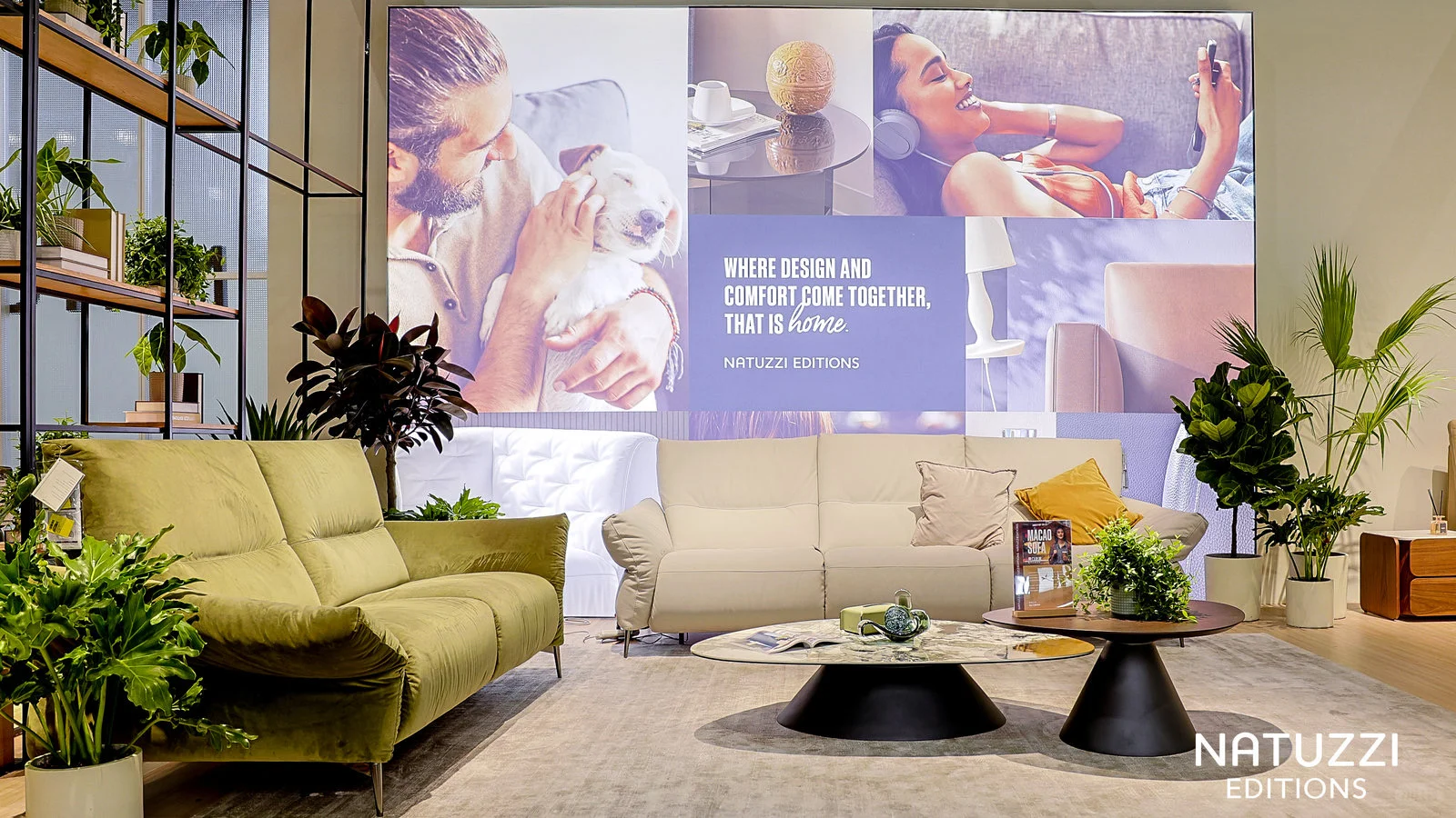 上海虹桥，国家会展中心鲜花绿植布置