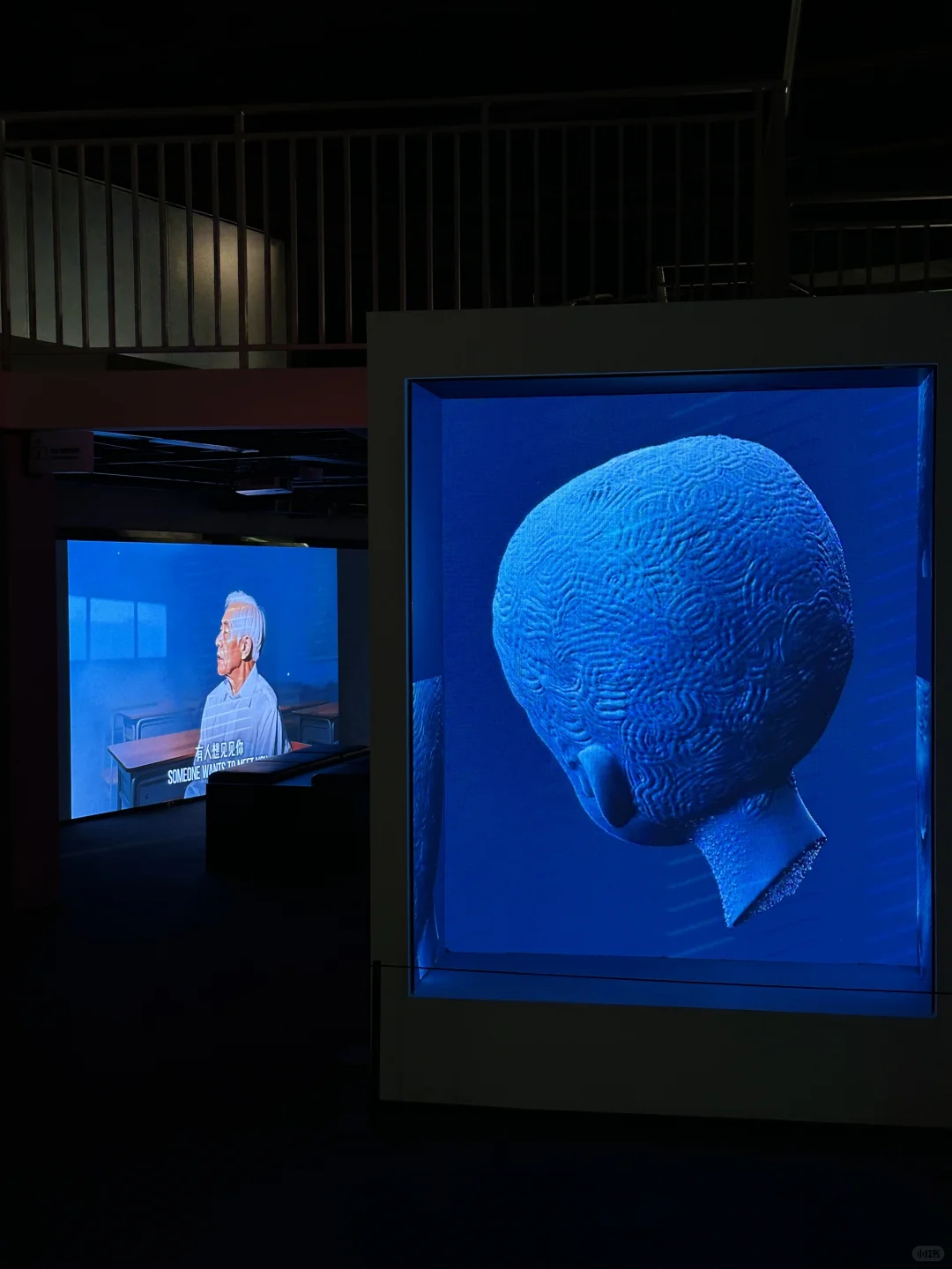 龙城CC文博会：数字艺术“超感现场”