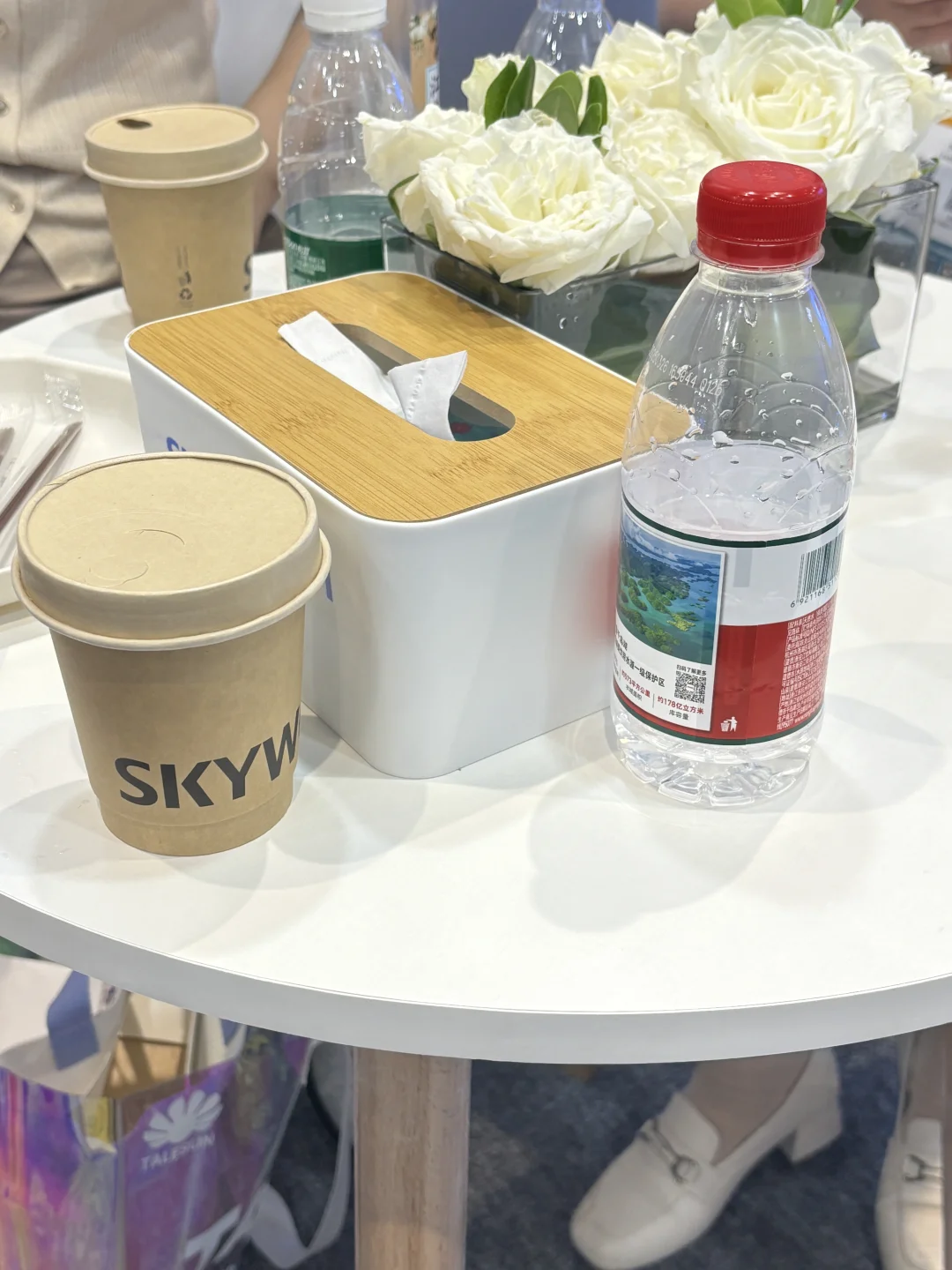 出差参加个光伏展