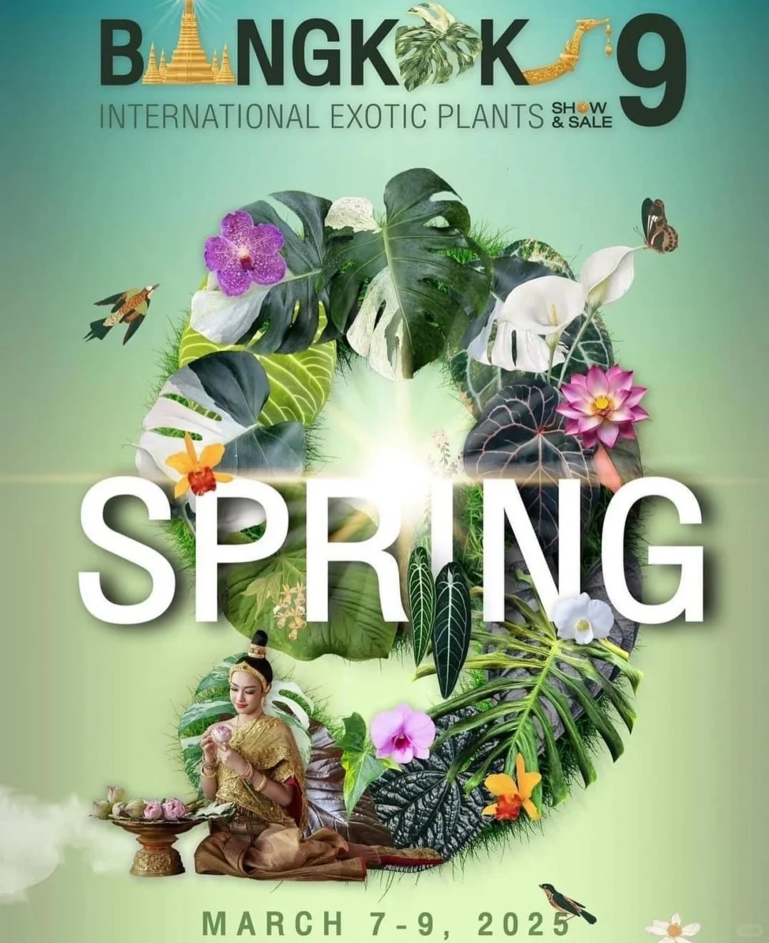 资源资讯｜2025泰国奇异植物展，巡回站点公布