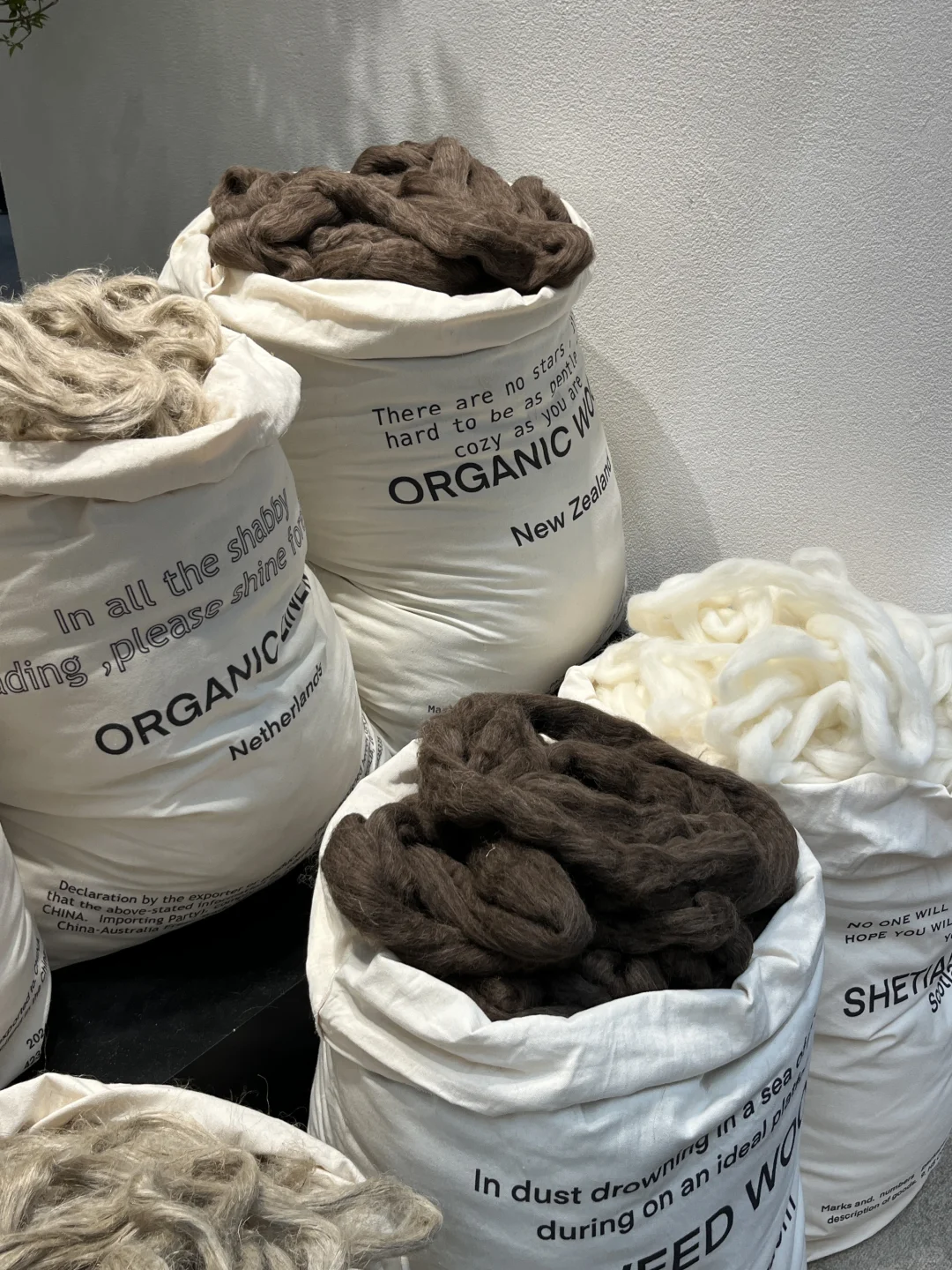 ShenZhen｜一些情绪细节灵感⚪️