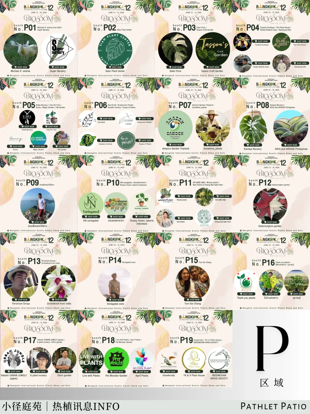 泰国曼谷珍稀热植展｜大波前瞻物料