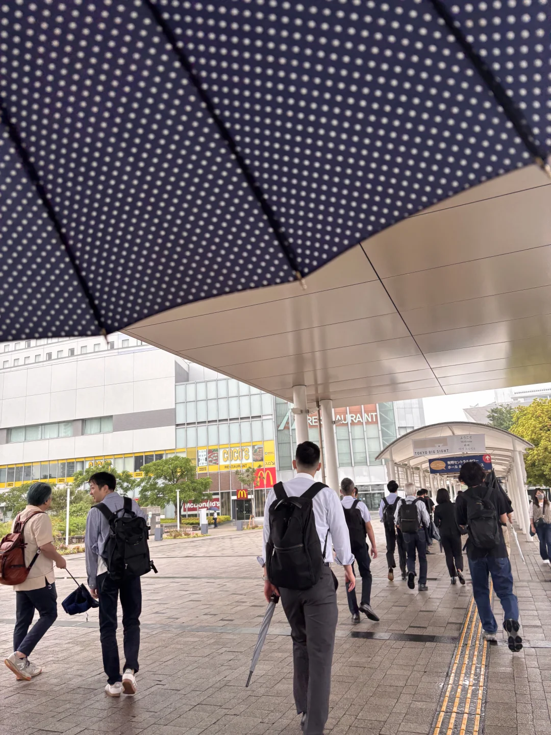 AFF Summer 2025 展会现场