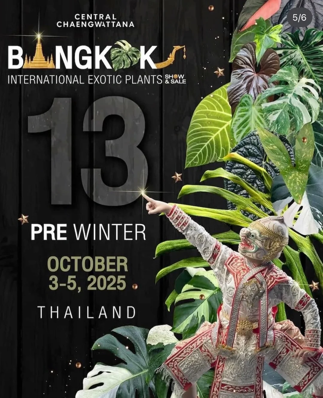 资源资讯｜2025泰国奇异植物展，巡回站点公布