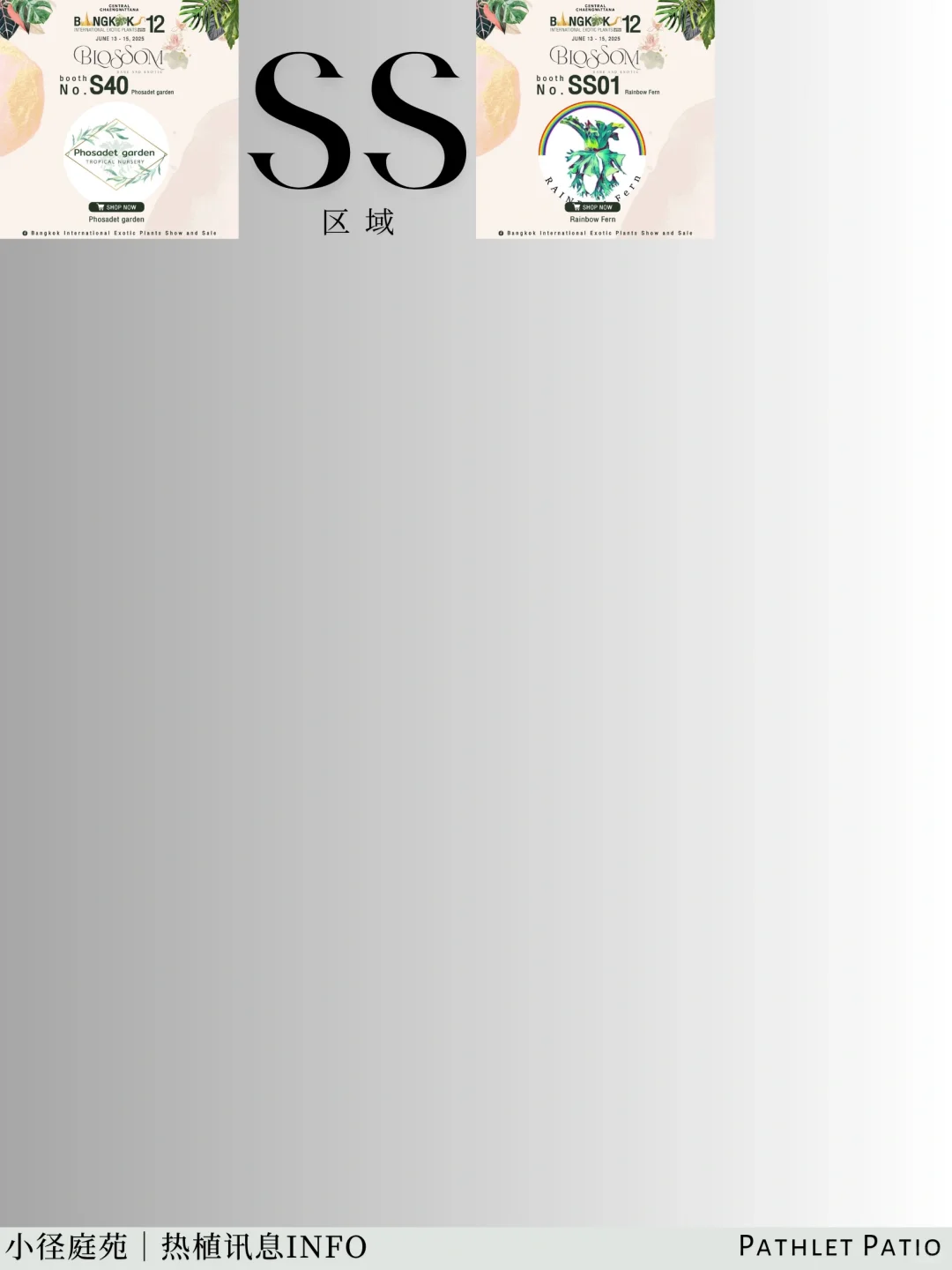 泰国曼谷珍稀热植展｜大波前瞻物料