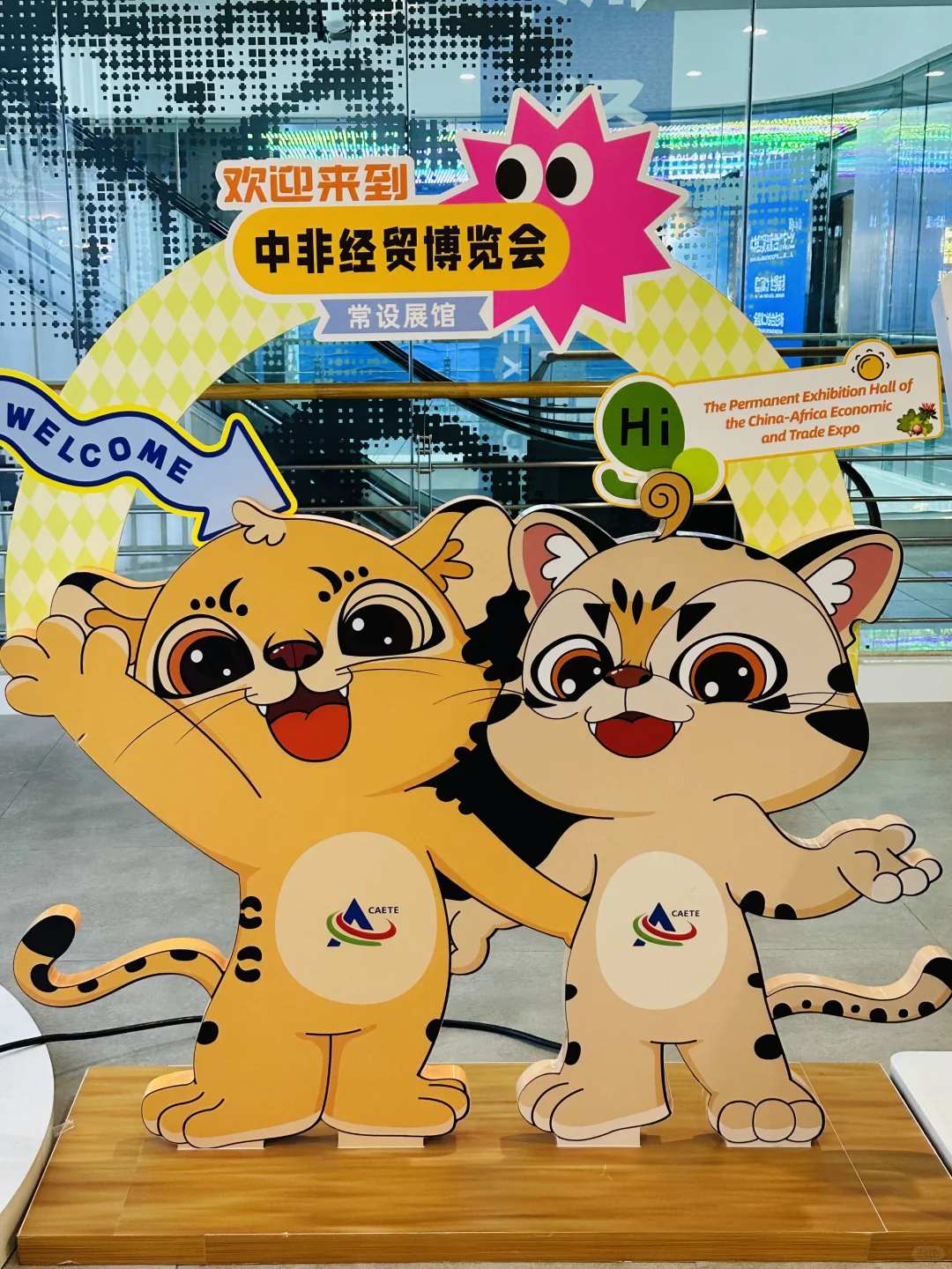 欢迎来第四届中国—非洲经贸博览会参观学习