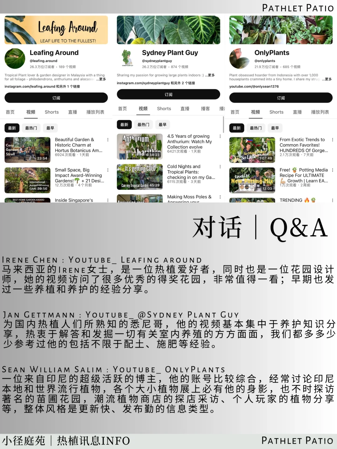 泰国曼谷珍稀热植展｜大波前瞻物料