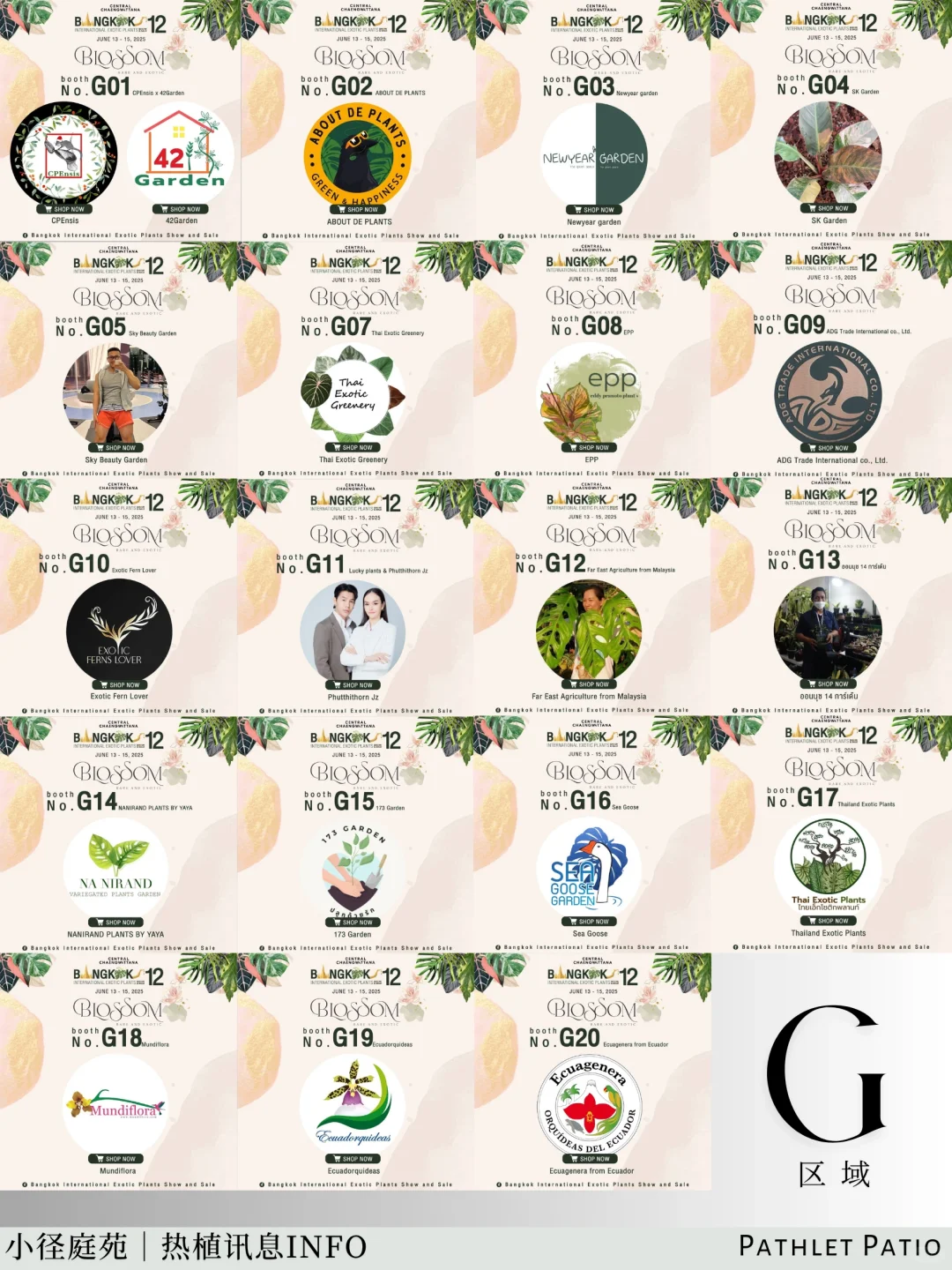 泰国曼谷珍稀热植展｜大波前瞻物料