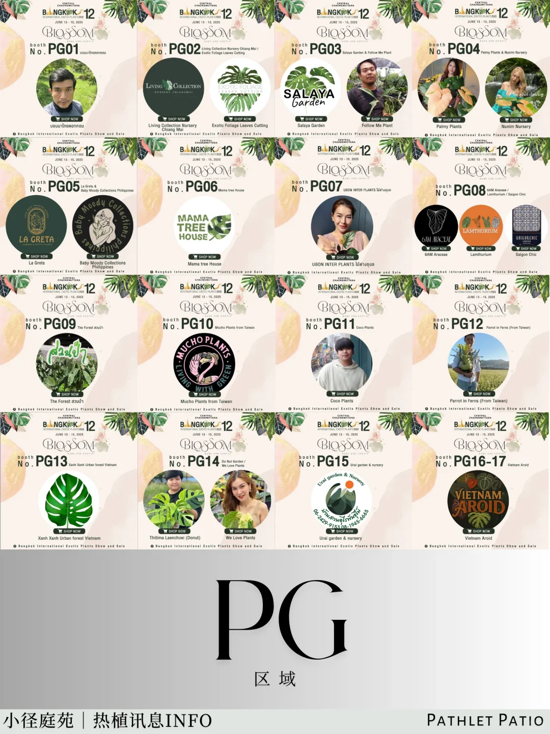 泰国曼谷珍稀热植展｜大波前瞻物料