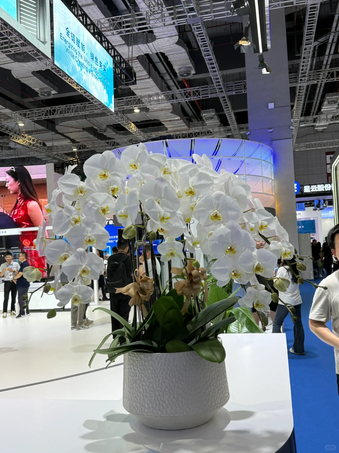 储能科学与工程展览