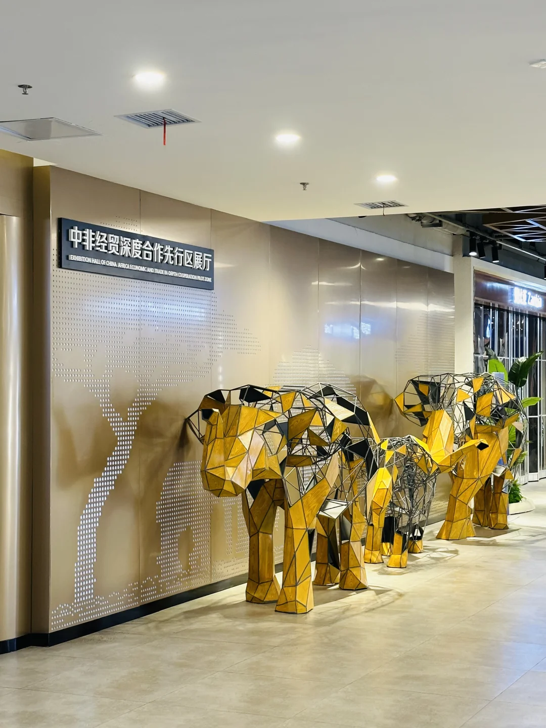 欢迎来第四届中国—非洲经贸博览会参观学习