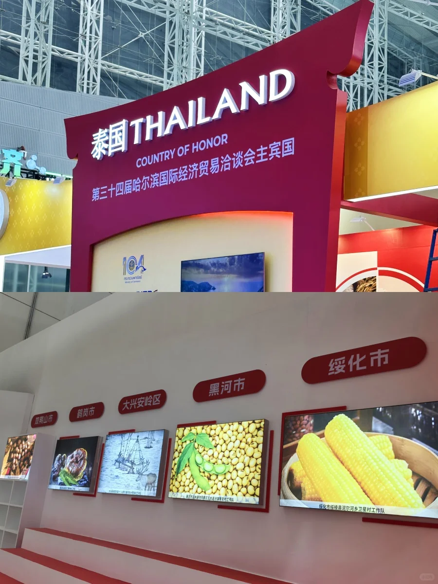 ?哈洽会科普｜哈尔滨咋就成世界顶流