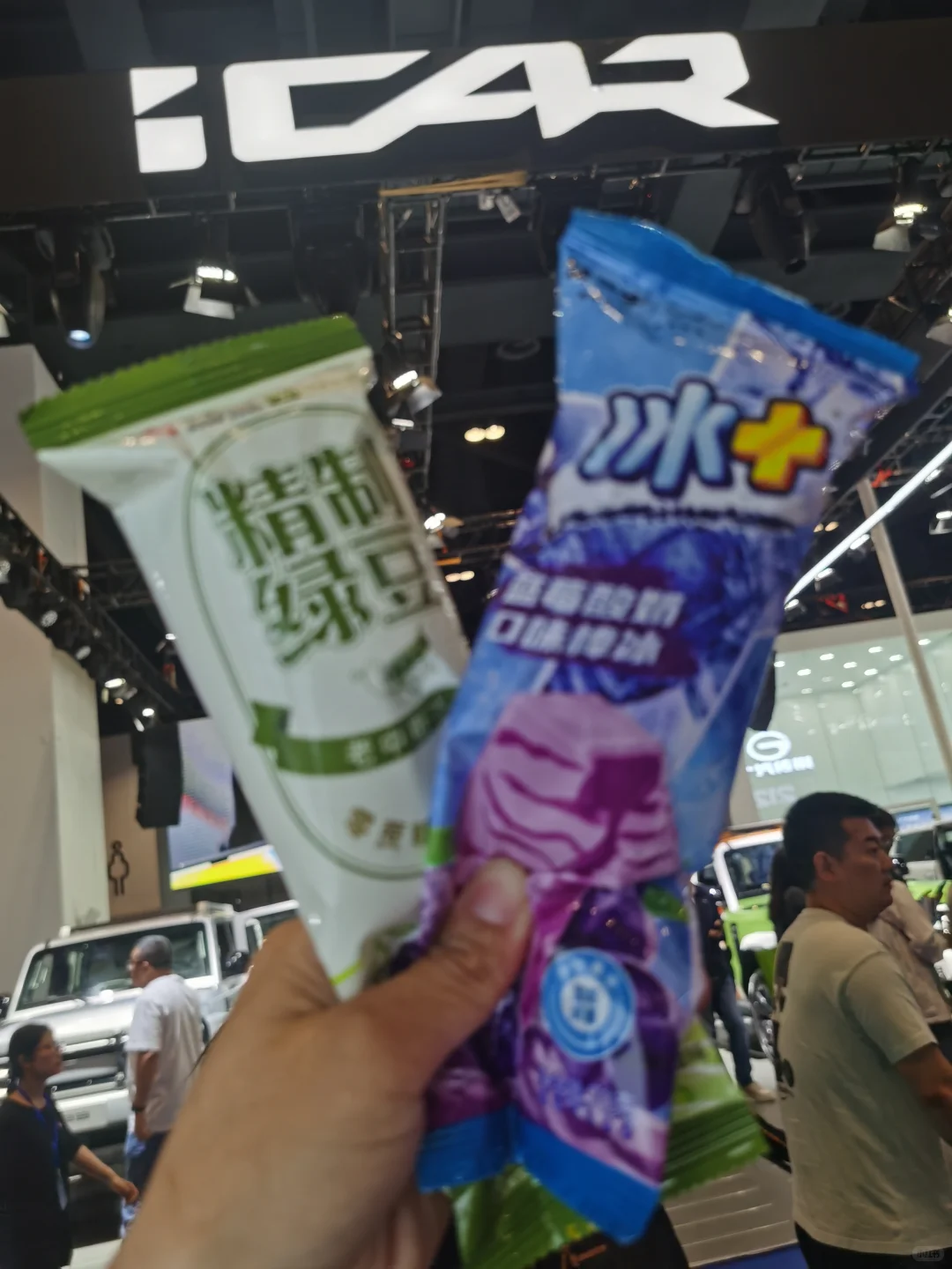 2025京津冀国际车展羊毛攻略（下）6月14