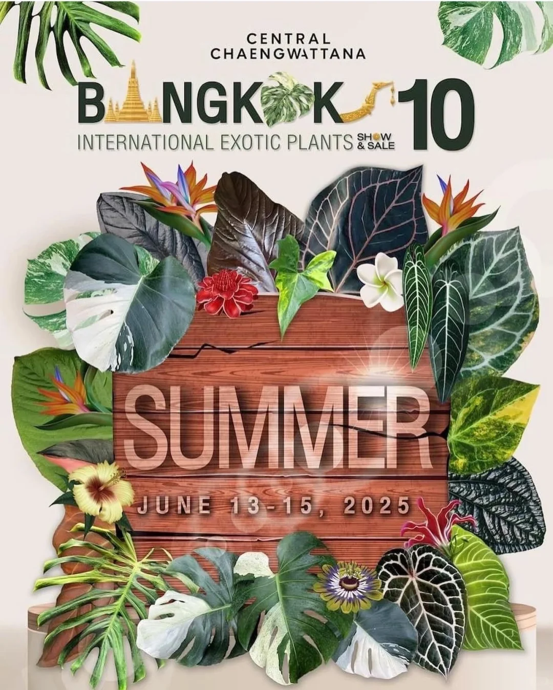 资源资讯｜2025泰国奇异植物展，巡回站点公布