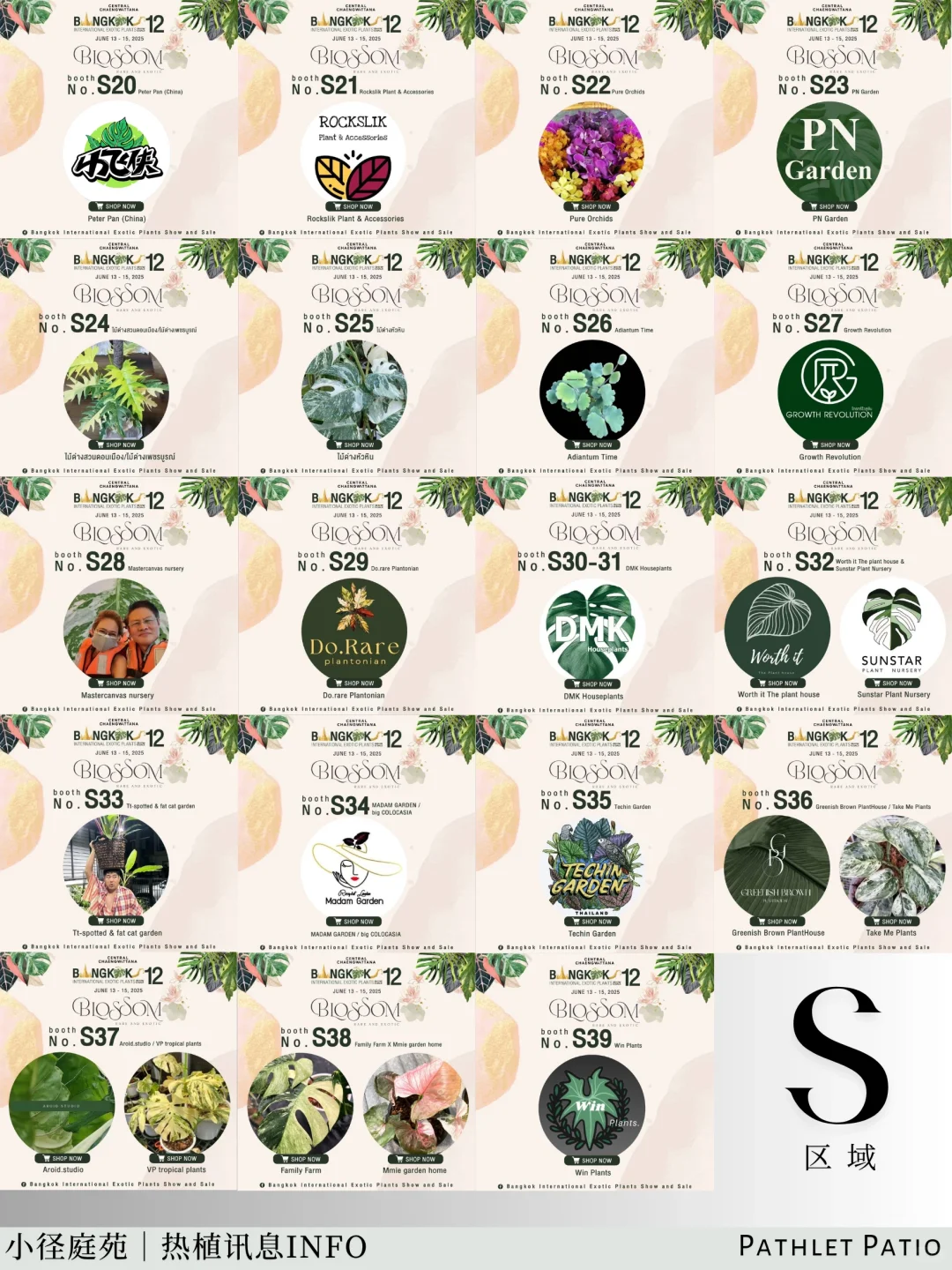 泰国曼谷珍稀热植展｜大波前瞻物料