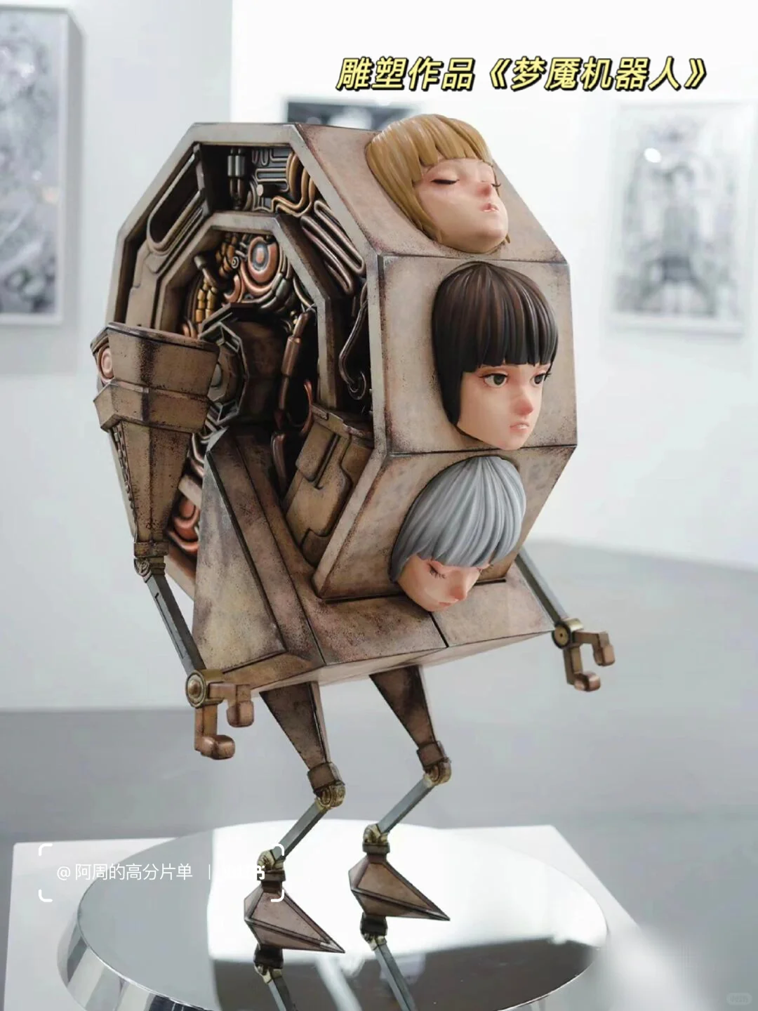 恭喜又一位女性在自己的领域取得了成绩!