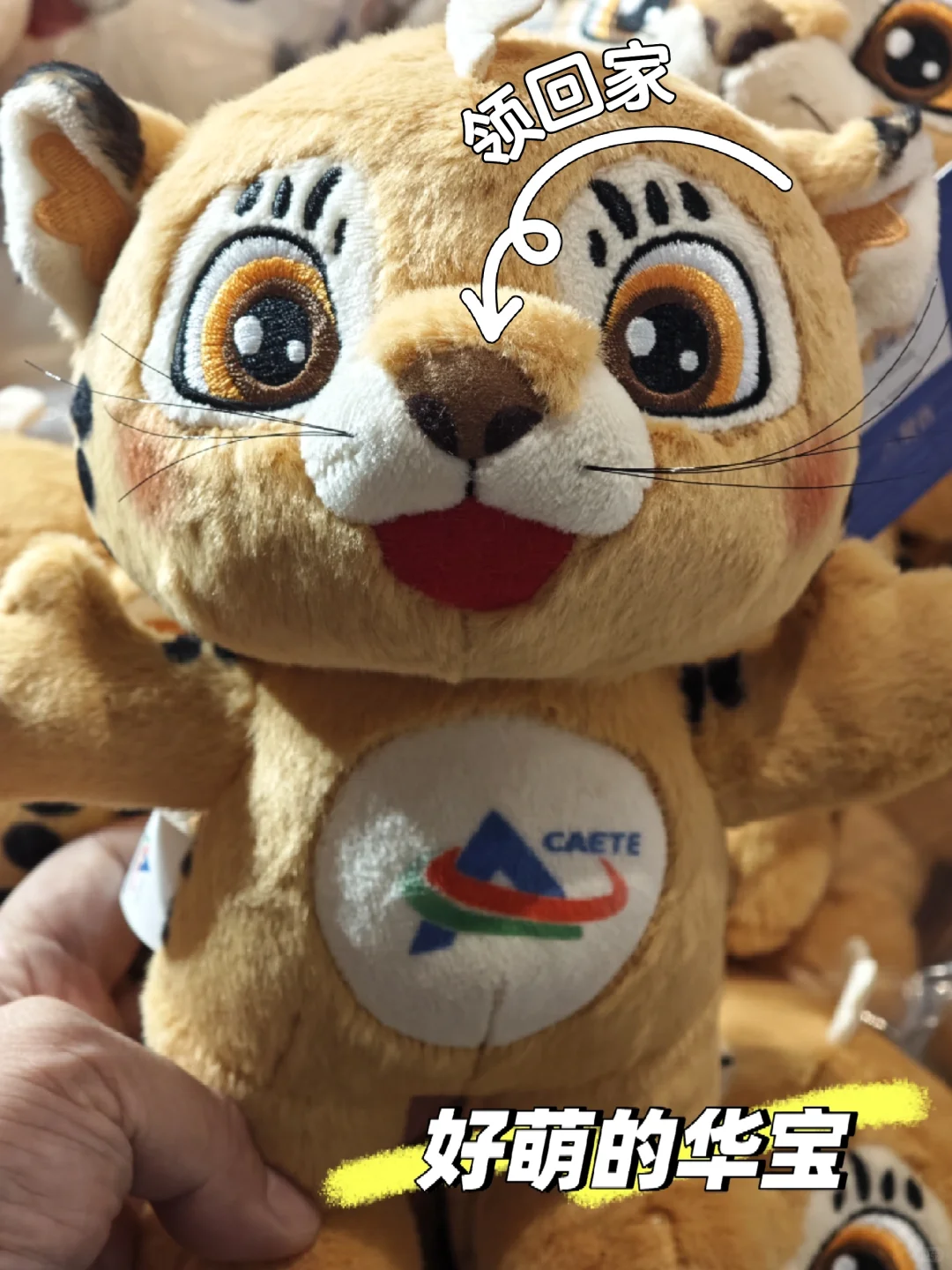 二次赴会，务实之风扑面｜第四届参会手记