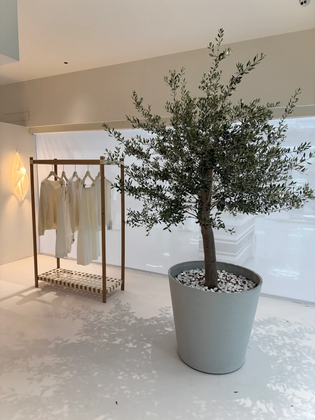 发现个宝藏Showroom，快去！?