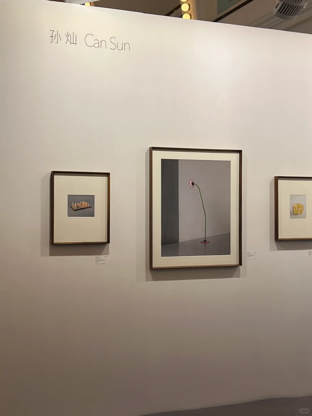 影像上海艺术博览会｜?