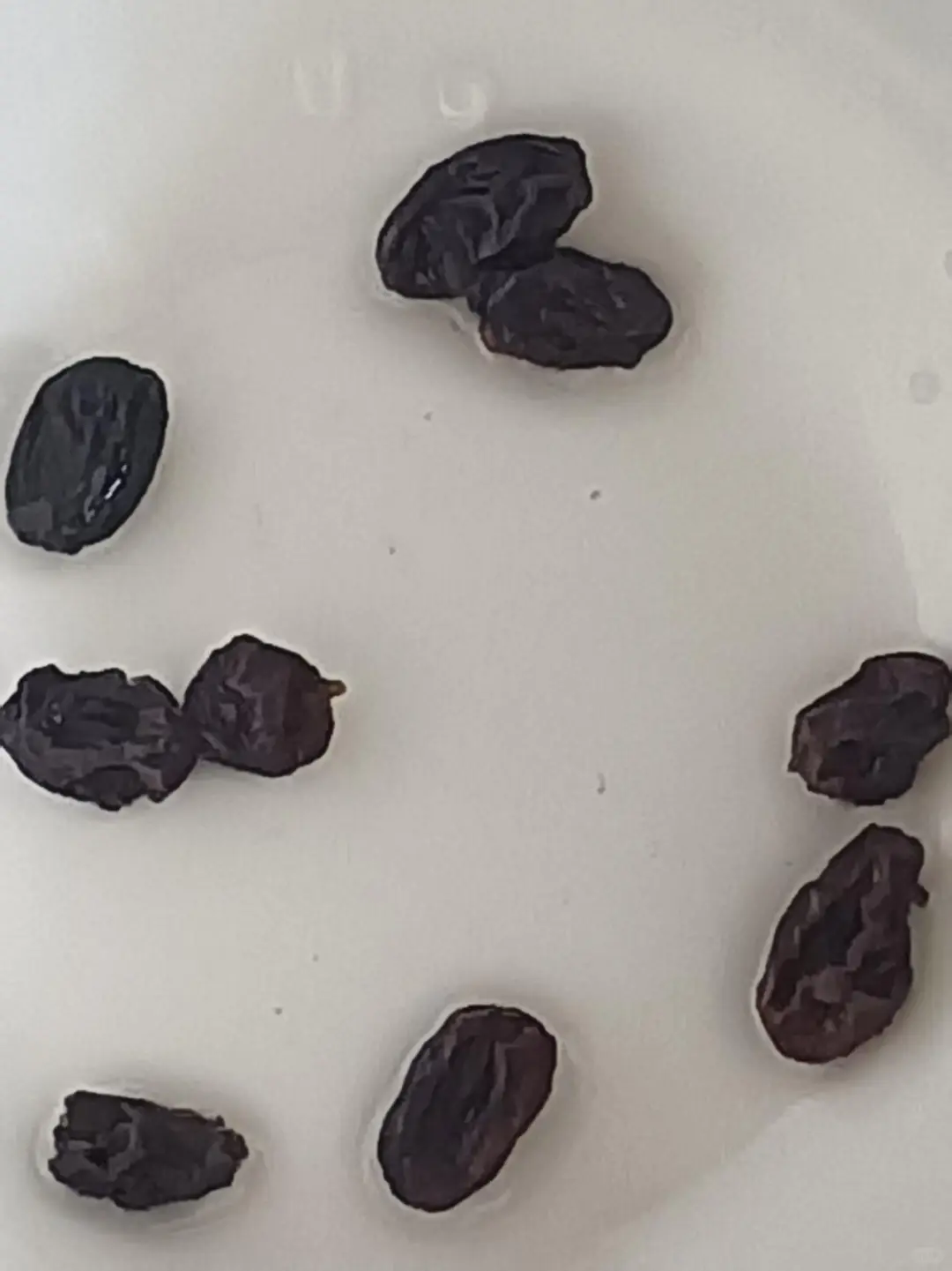 在中非博览会买到假货了