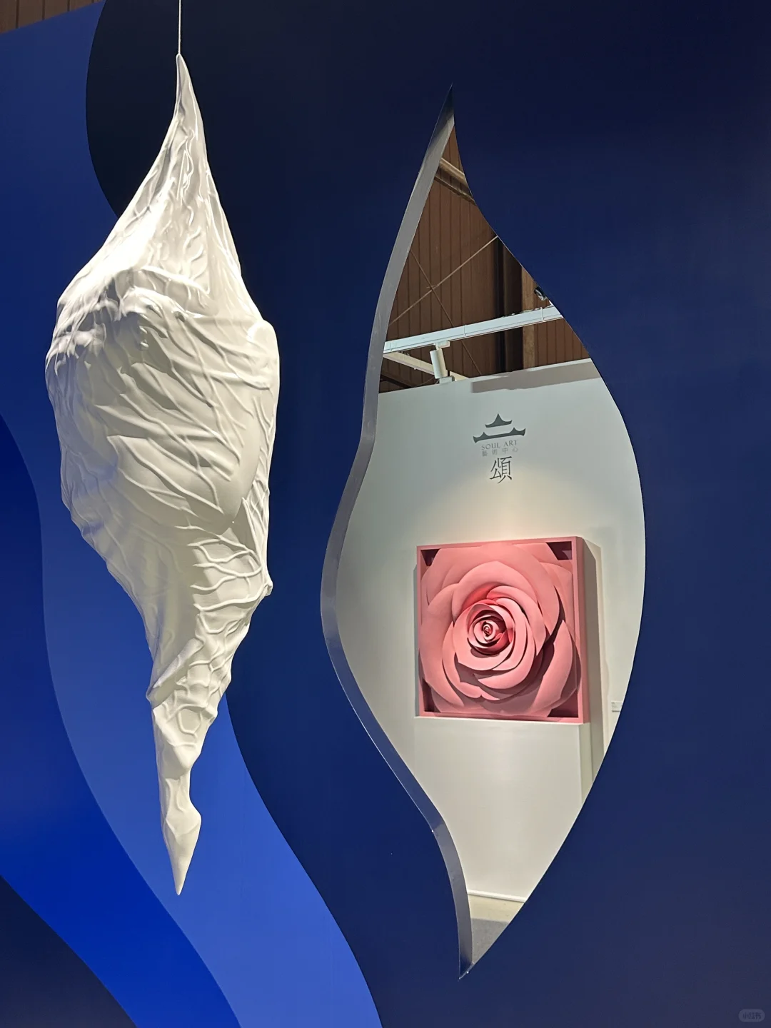 在北京当代艺术博览会看到了杉本博司的作品