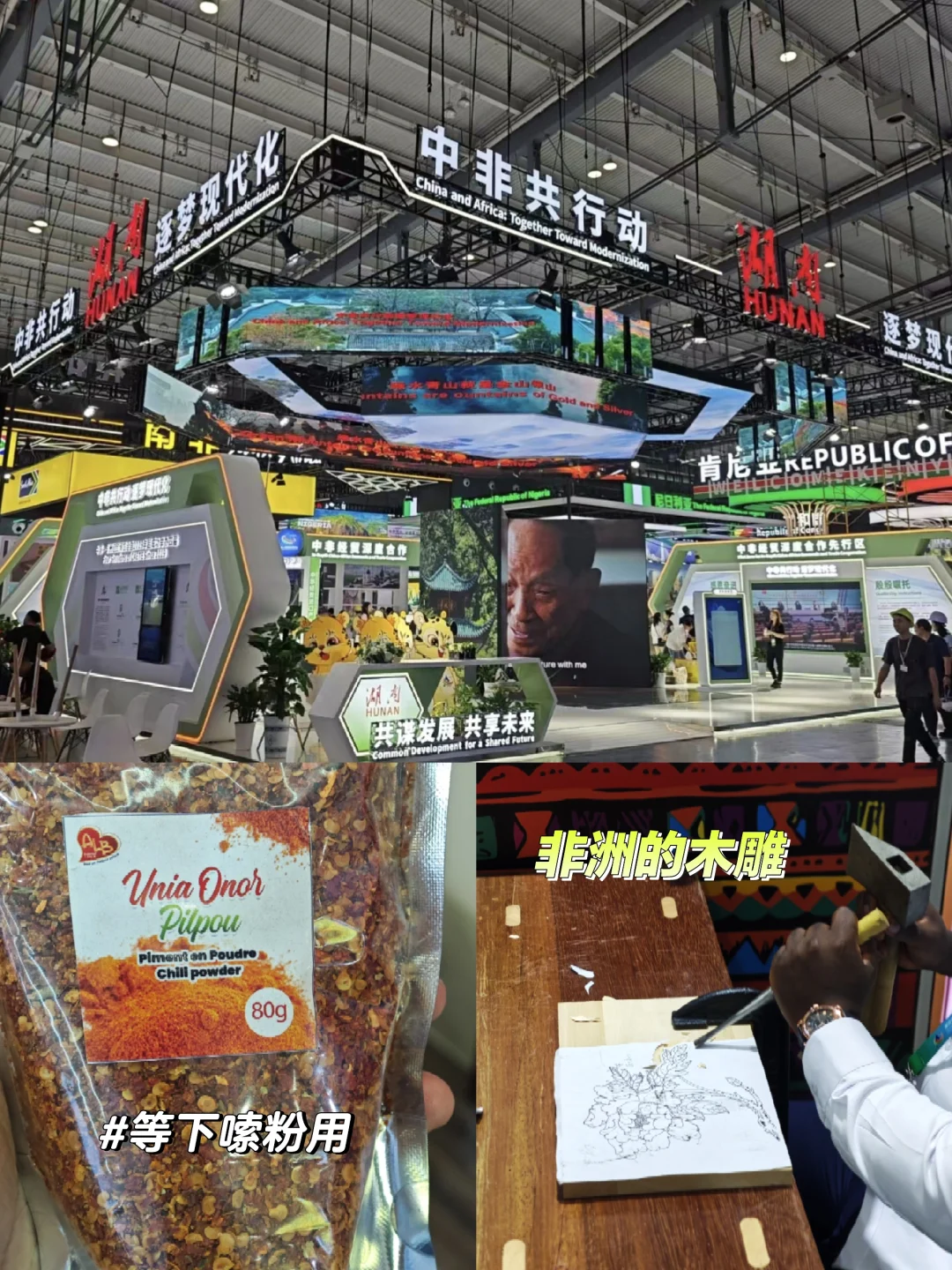 二次赴会，务实之风扑面｜第四届参会手记