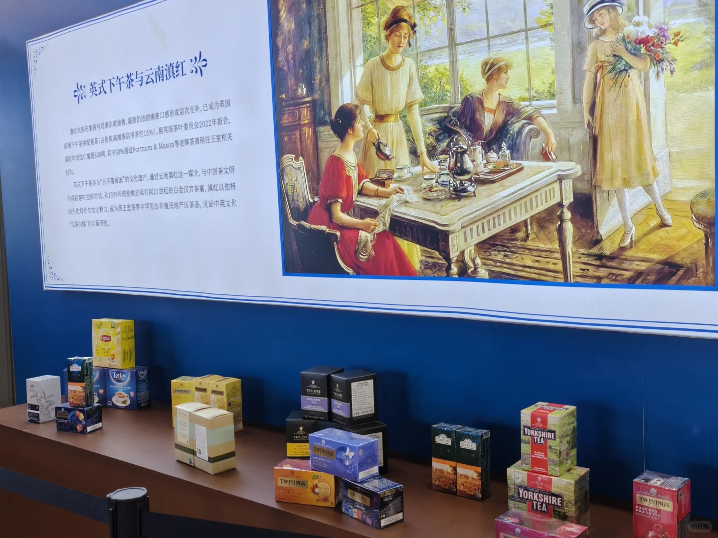 漫步在文化与艺术的海洋中 ?