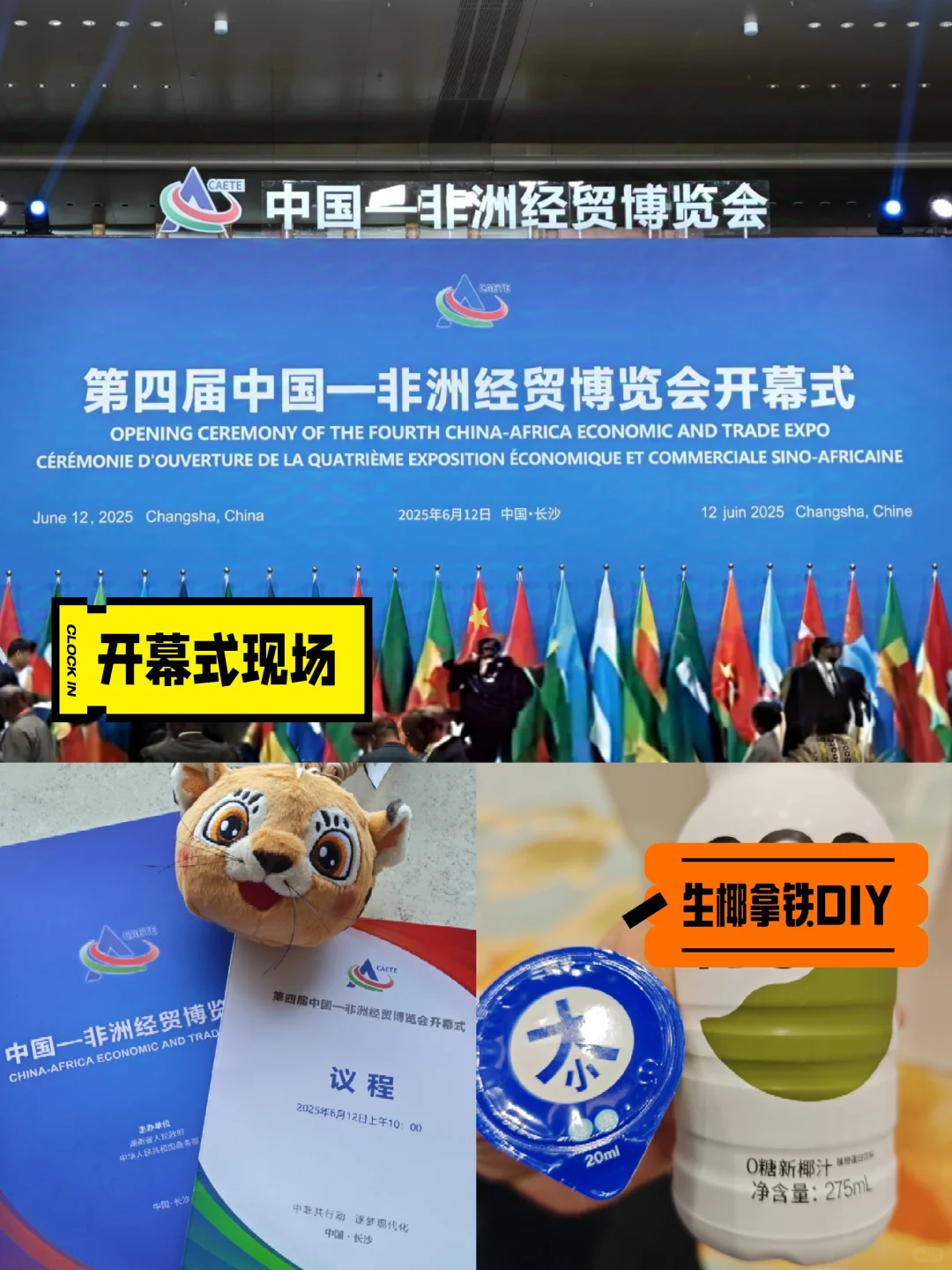 二次赴会，务实之风扑面｜第四届参会手记