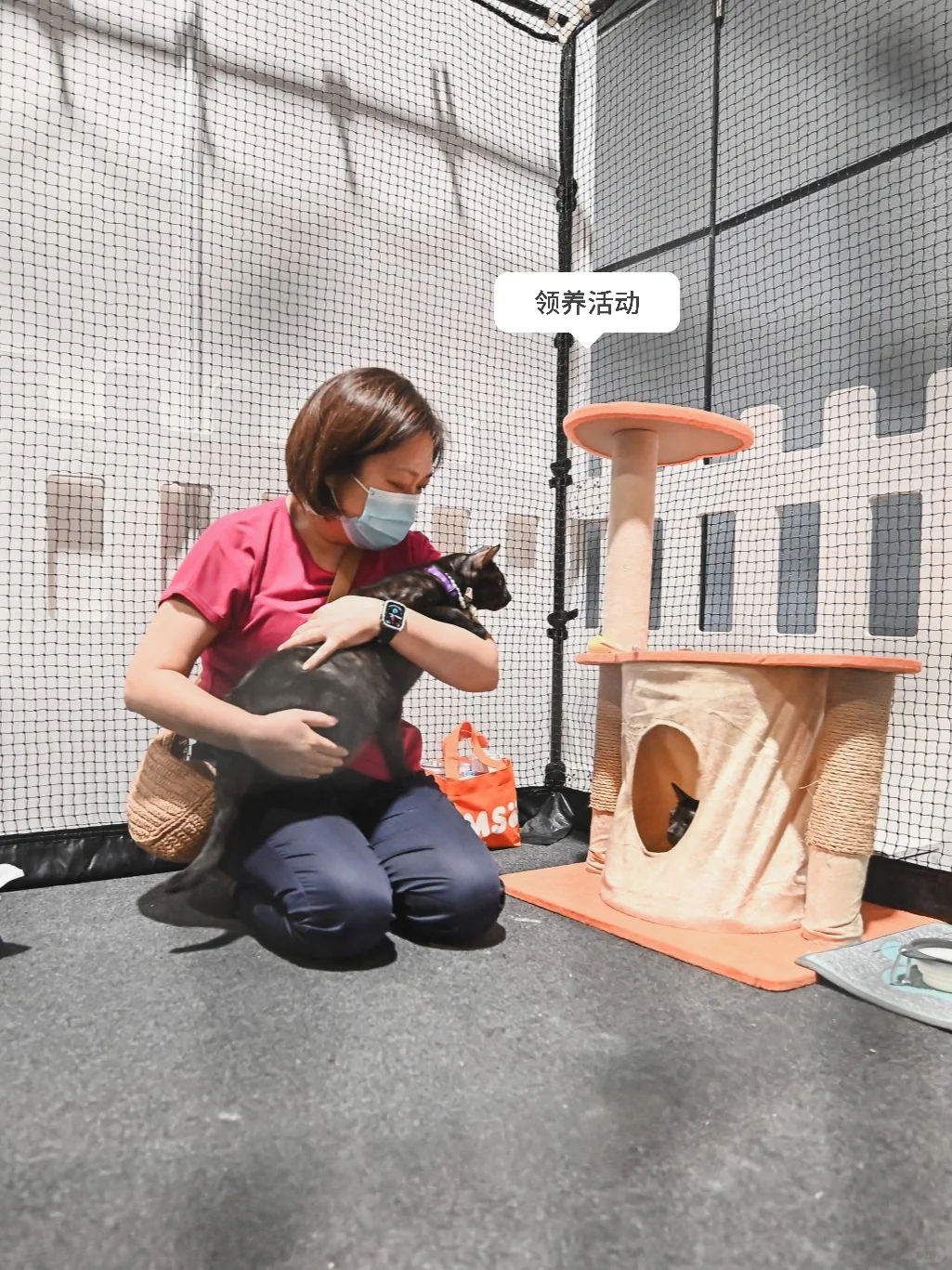 ?? 全亚洲猫奴都在期待的展会！