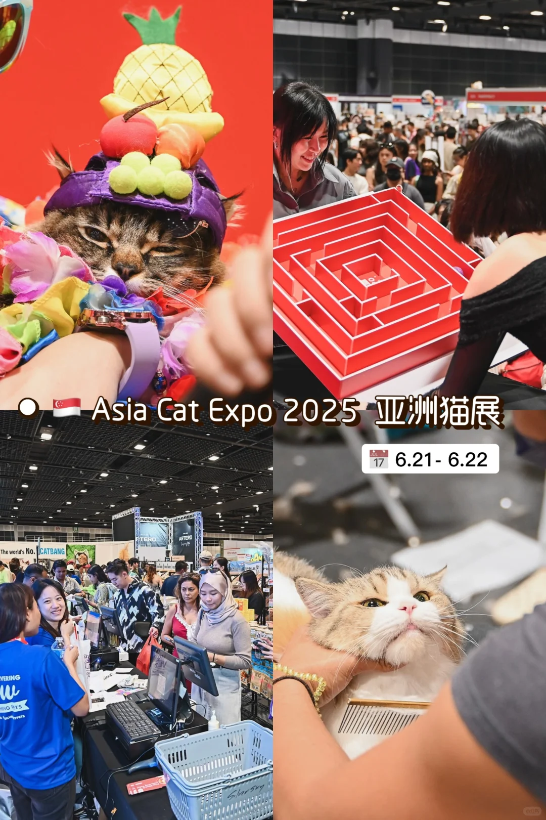 ?? 全亚洲猫奴都在期待的展会！