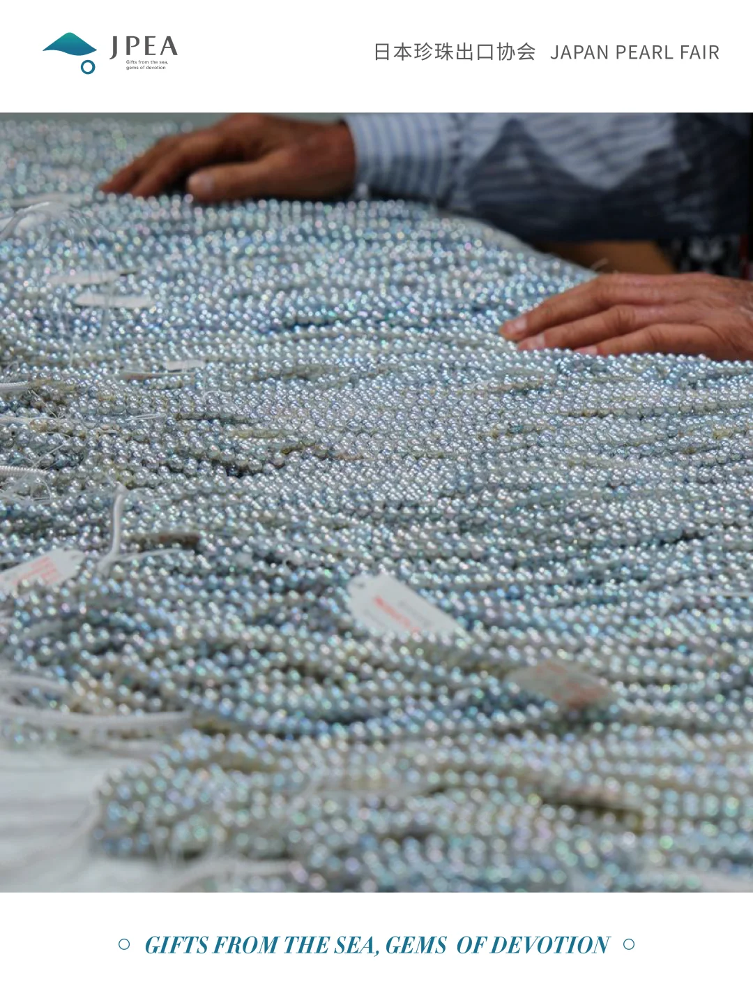 JPF2025 首日亮点回顾