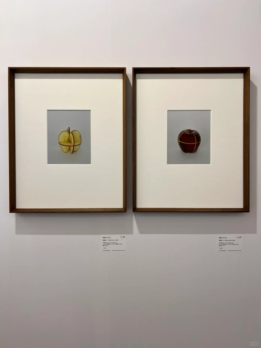 影像上海艺术博览会｜?