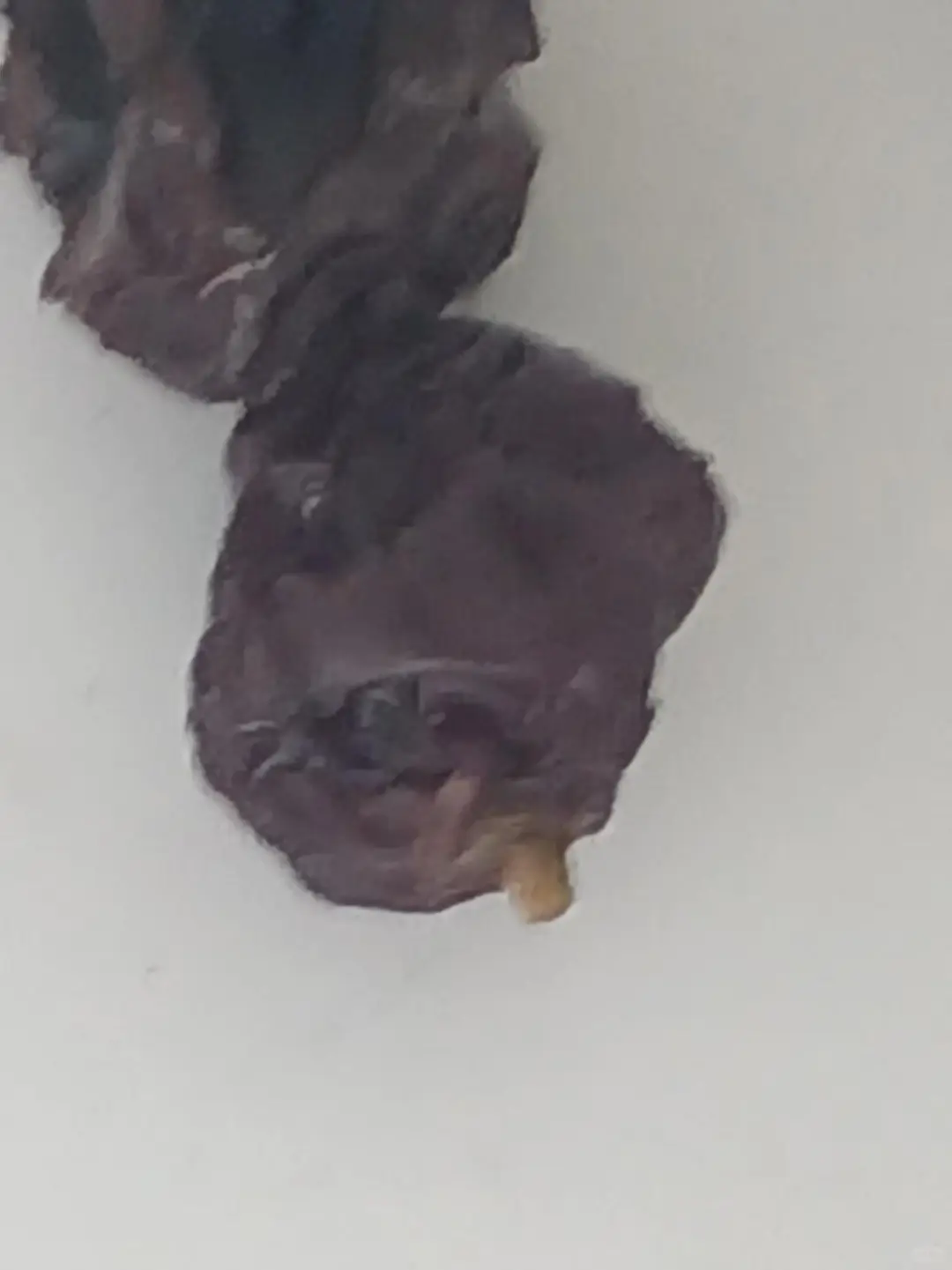 在中非博览会买到假货了