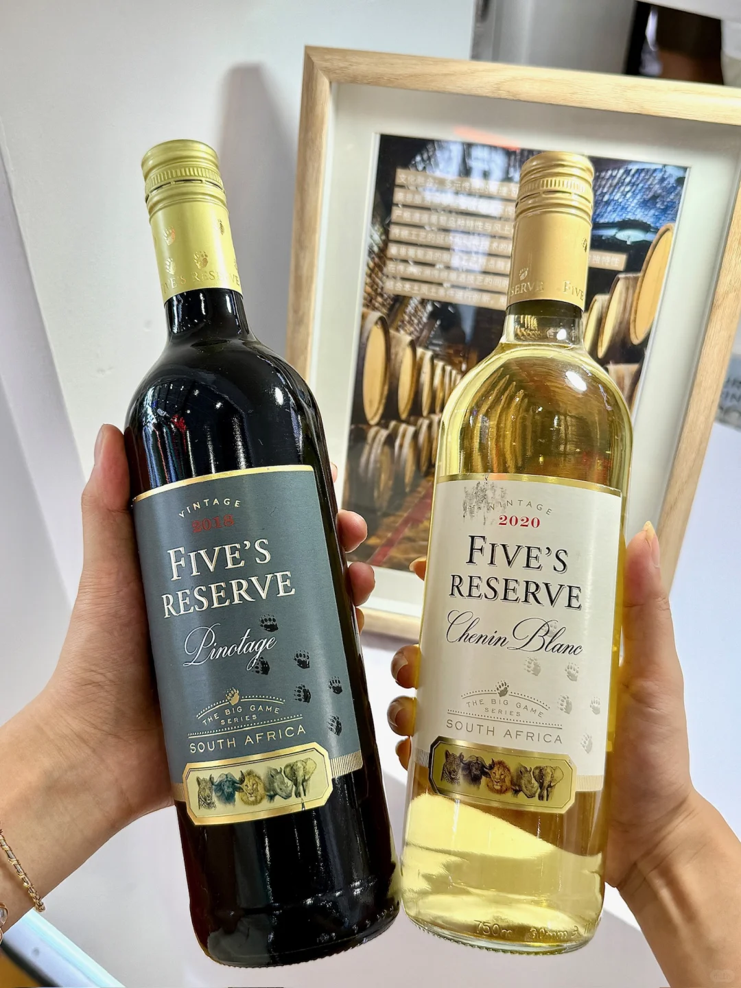 中非经贸博览会太好玩啦！